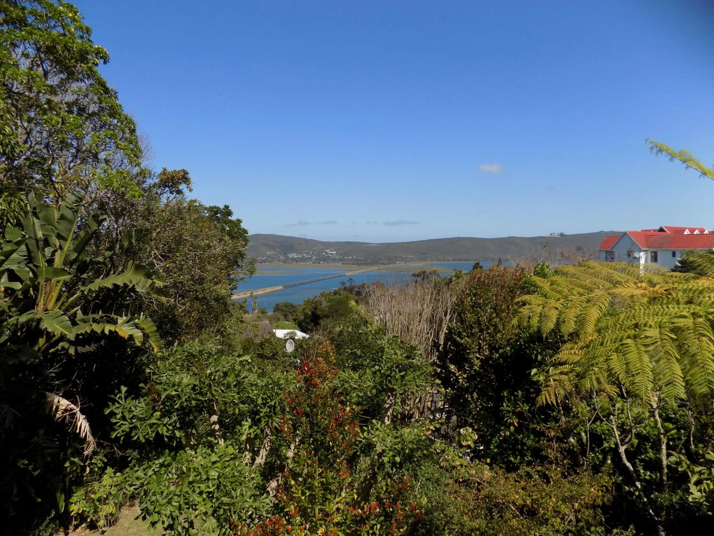 Natural landscape in Protea Guest House