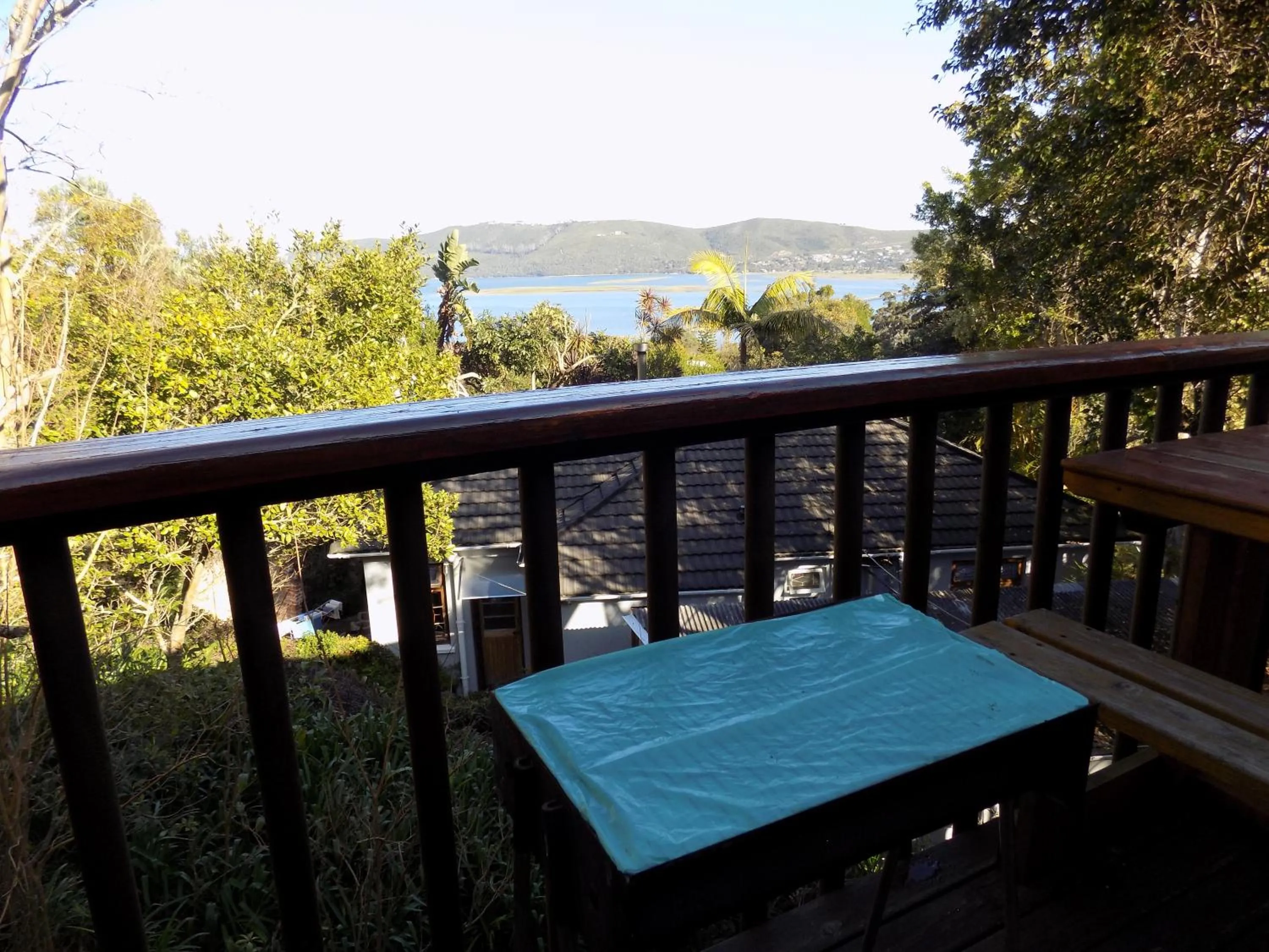 Natural landscape in Protea Guest House