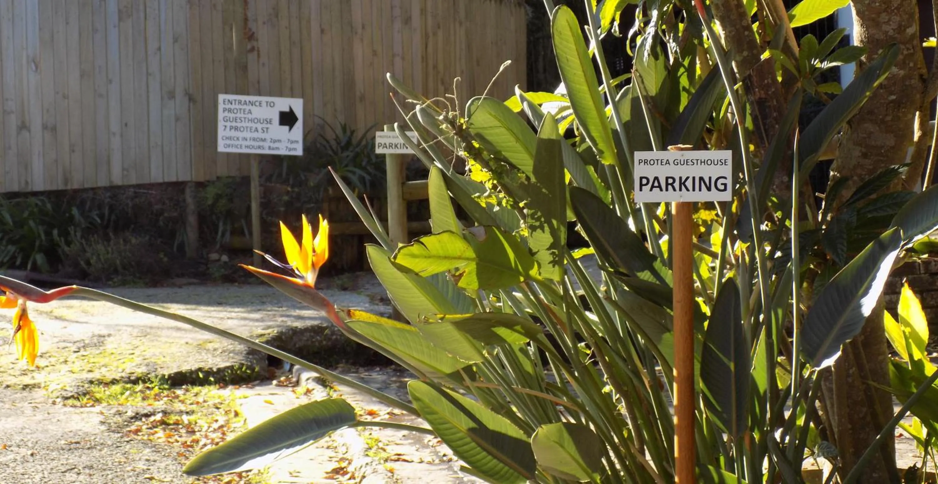 Property logo or sign in Protea Guest House