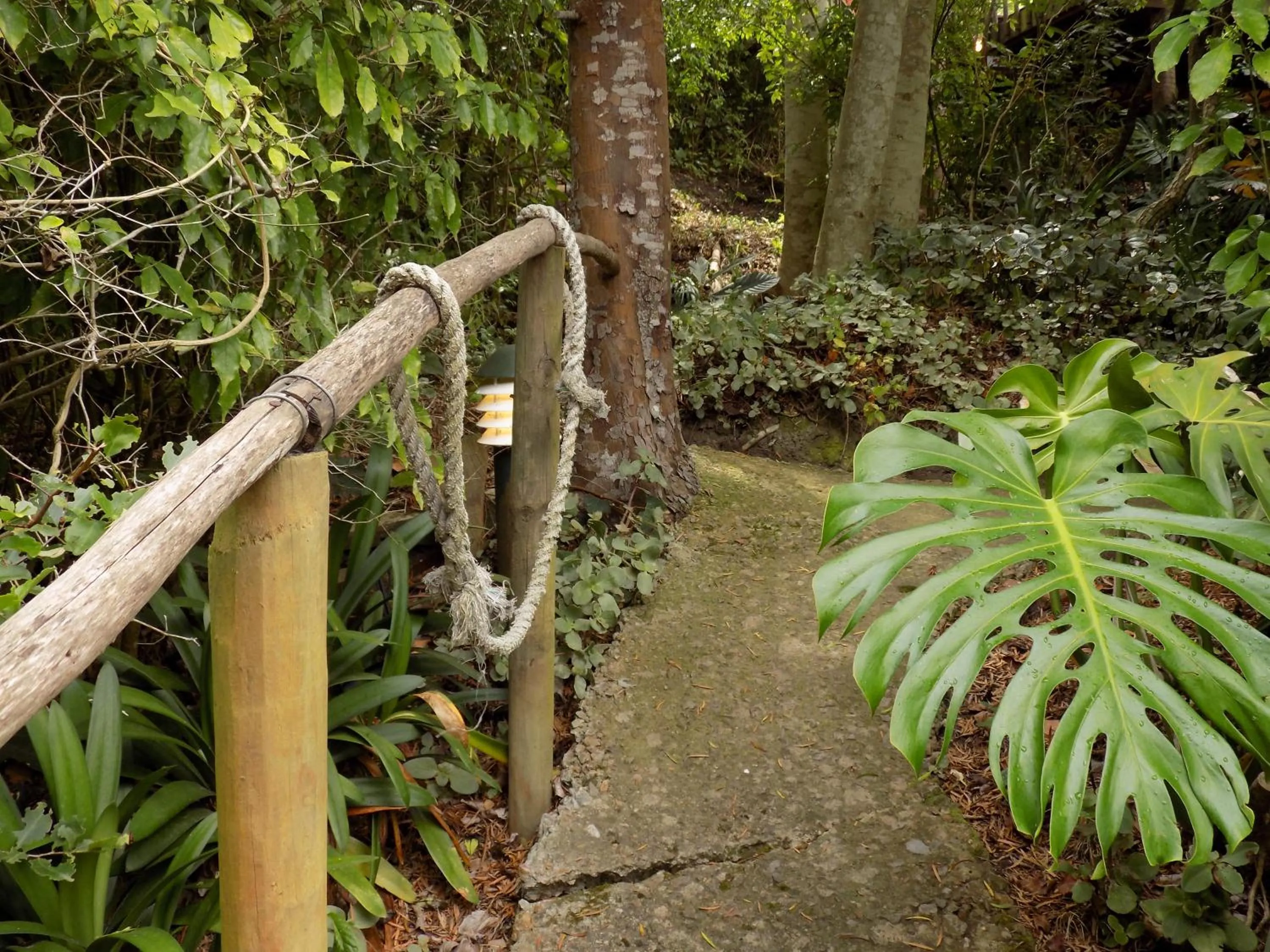 Garden in Protea Guest House
