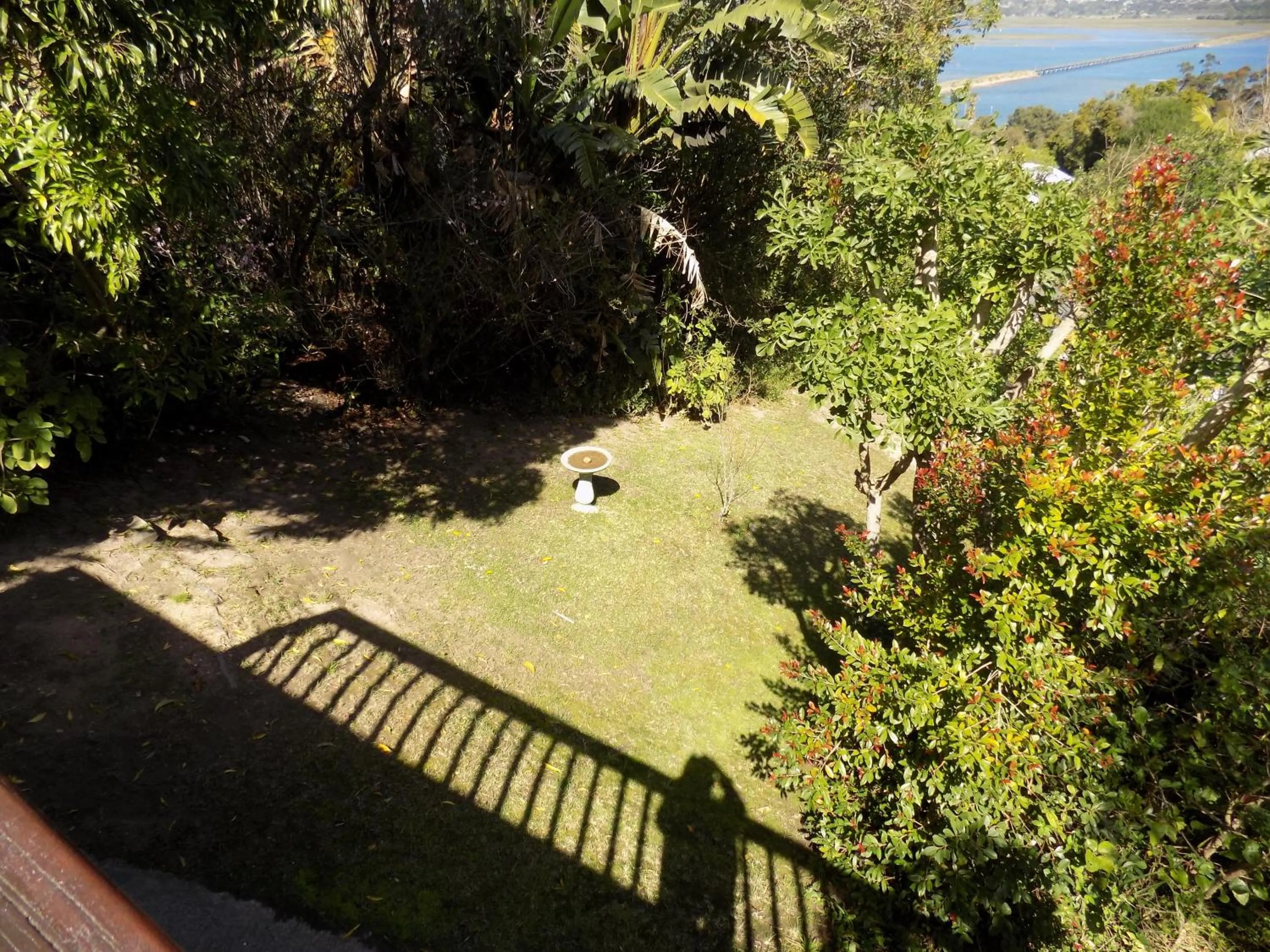 Natural landscape in Protea Guest House