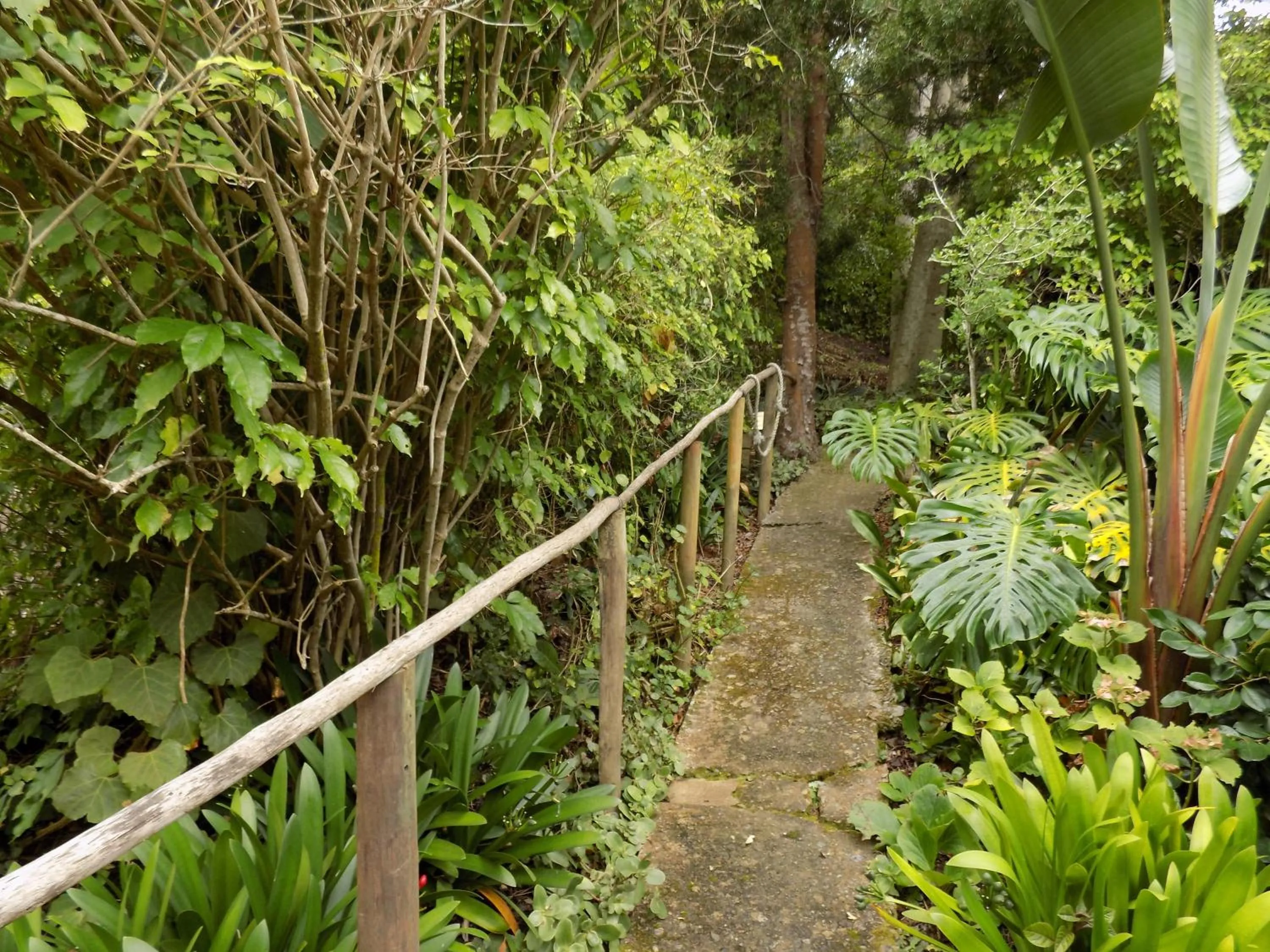 Garden in Protea Guest House