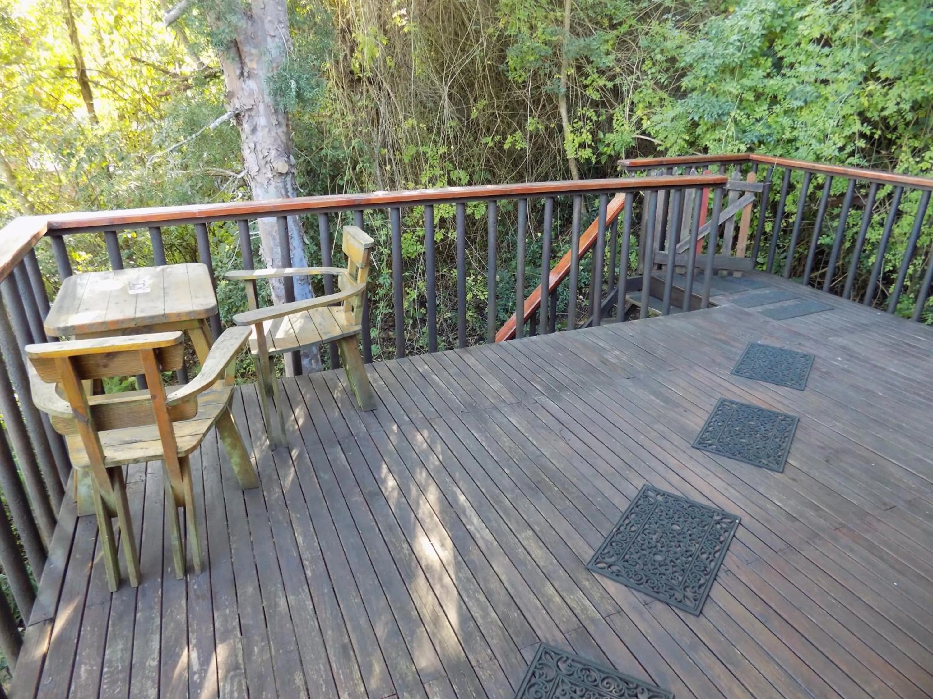 Balcony/Terrace in Protea Guest House