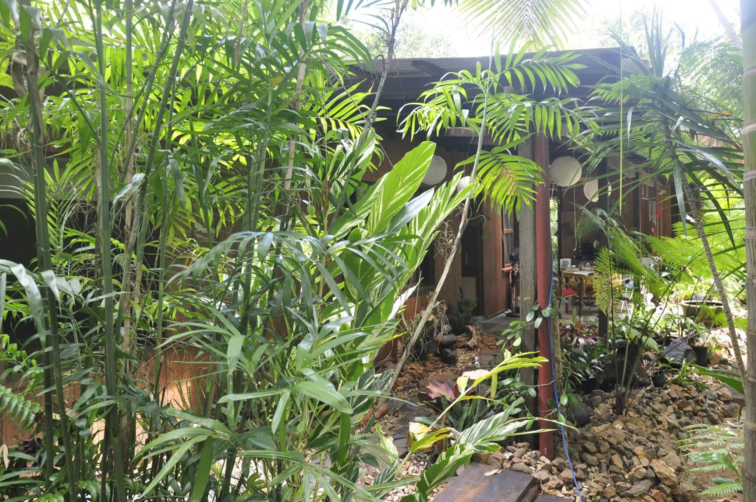 Garden in Tropical Bliss bed and breakfast