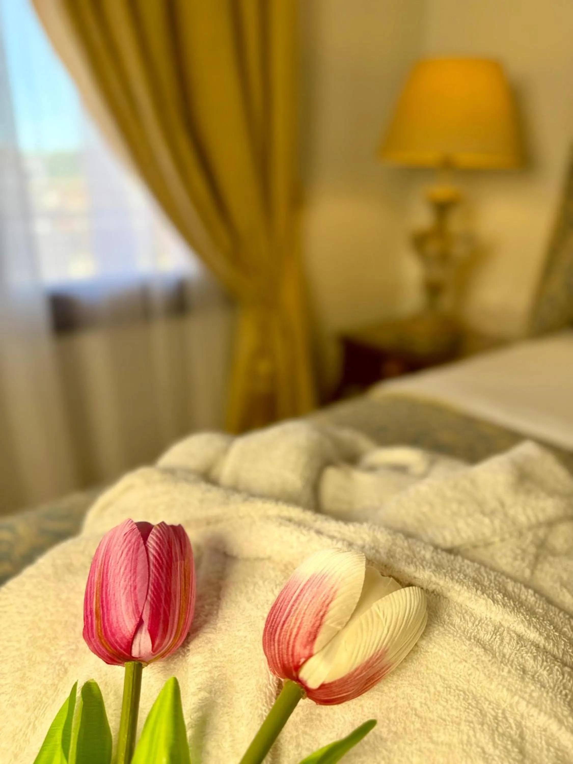 Bed in Great Greece Le Convivial Suites