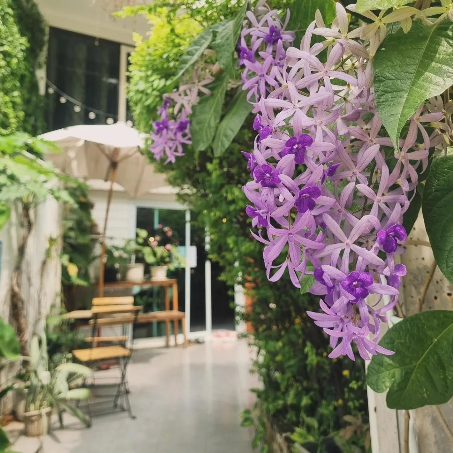 Property building in Home16 Sukhumvit16