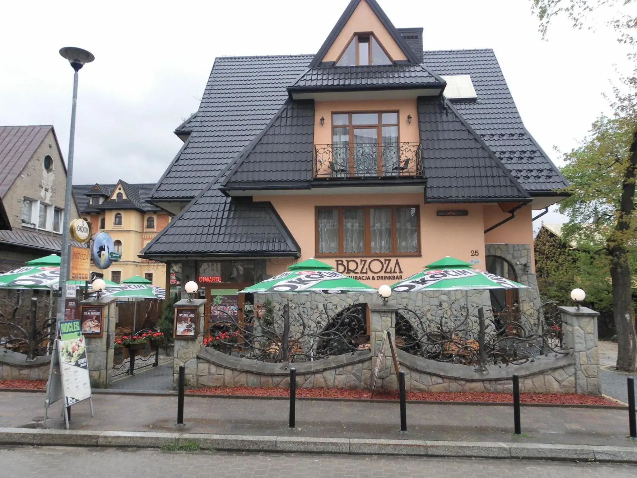 Brzoza w centrum Zakopanego Brzoza w centrum Zakopanego