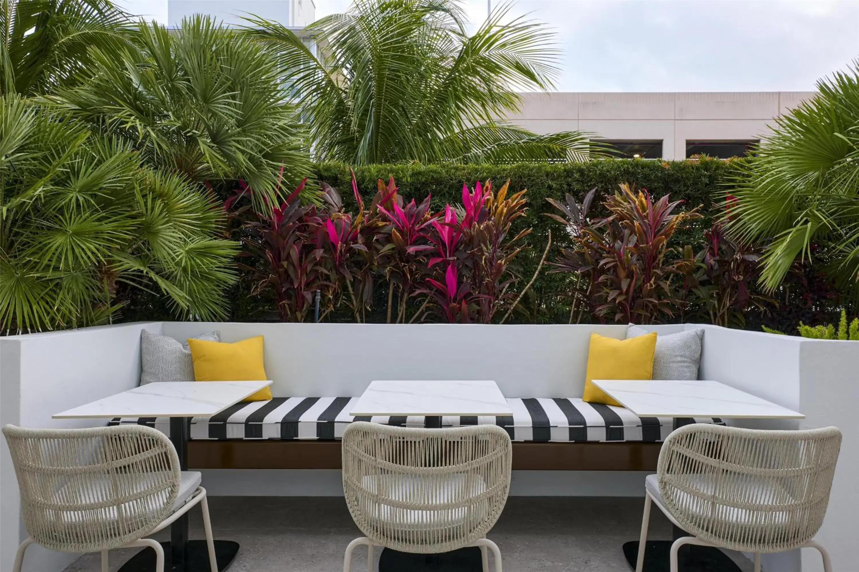 Swimming pool in Hyatt Centric South Beach Miami Swimming pool in Hyatt Centric South Beach Miami