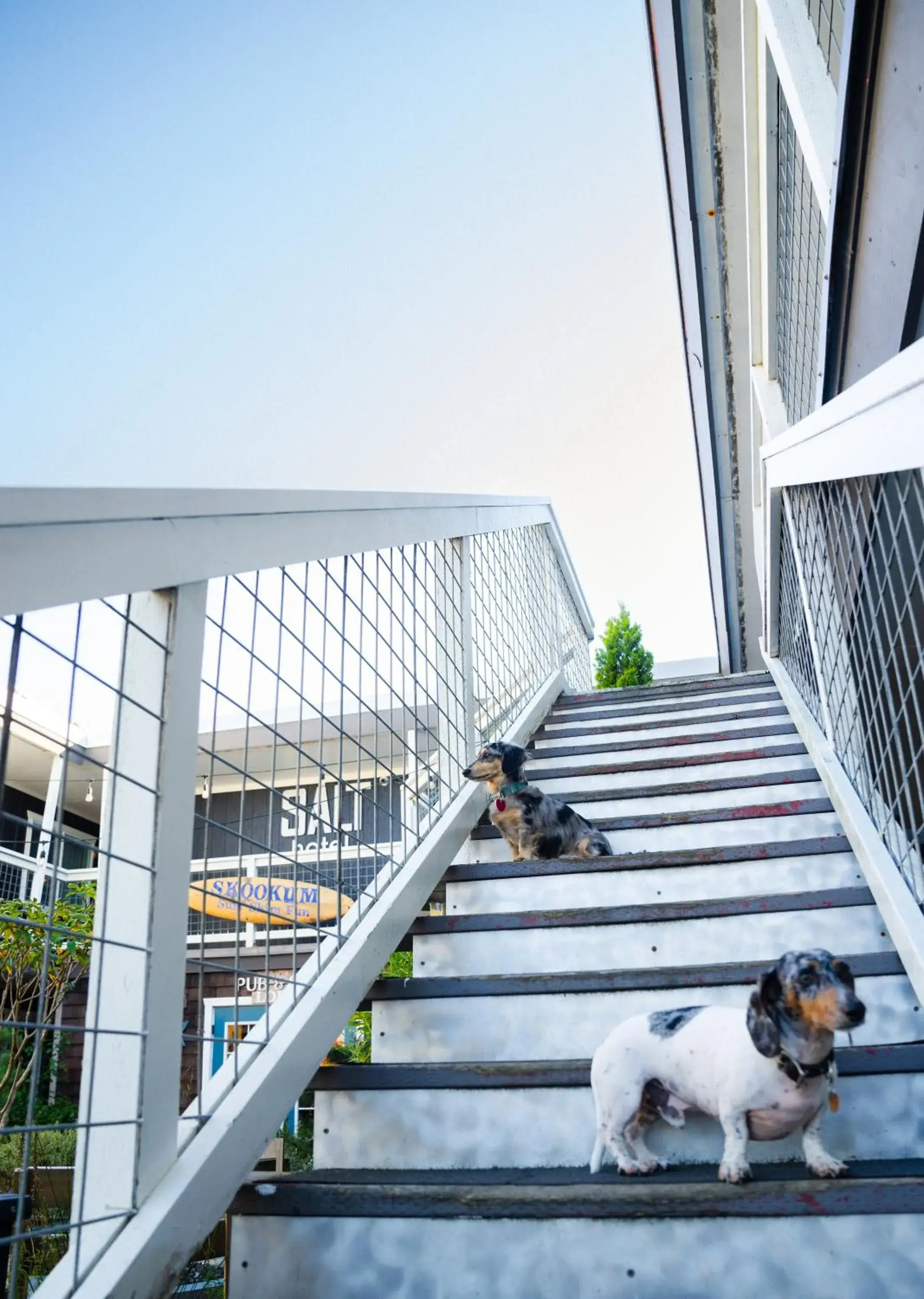 Queen Room in Salt Hotel & Pub Queen Room in Salt Hotel & Pub