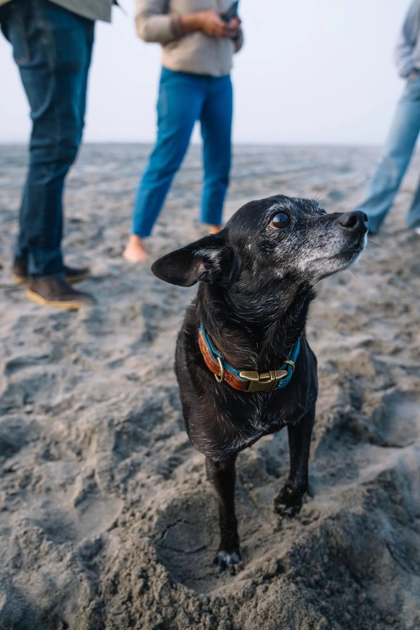Beach in Salt Hotel & Pub
