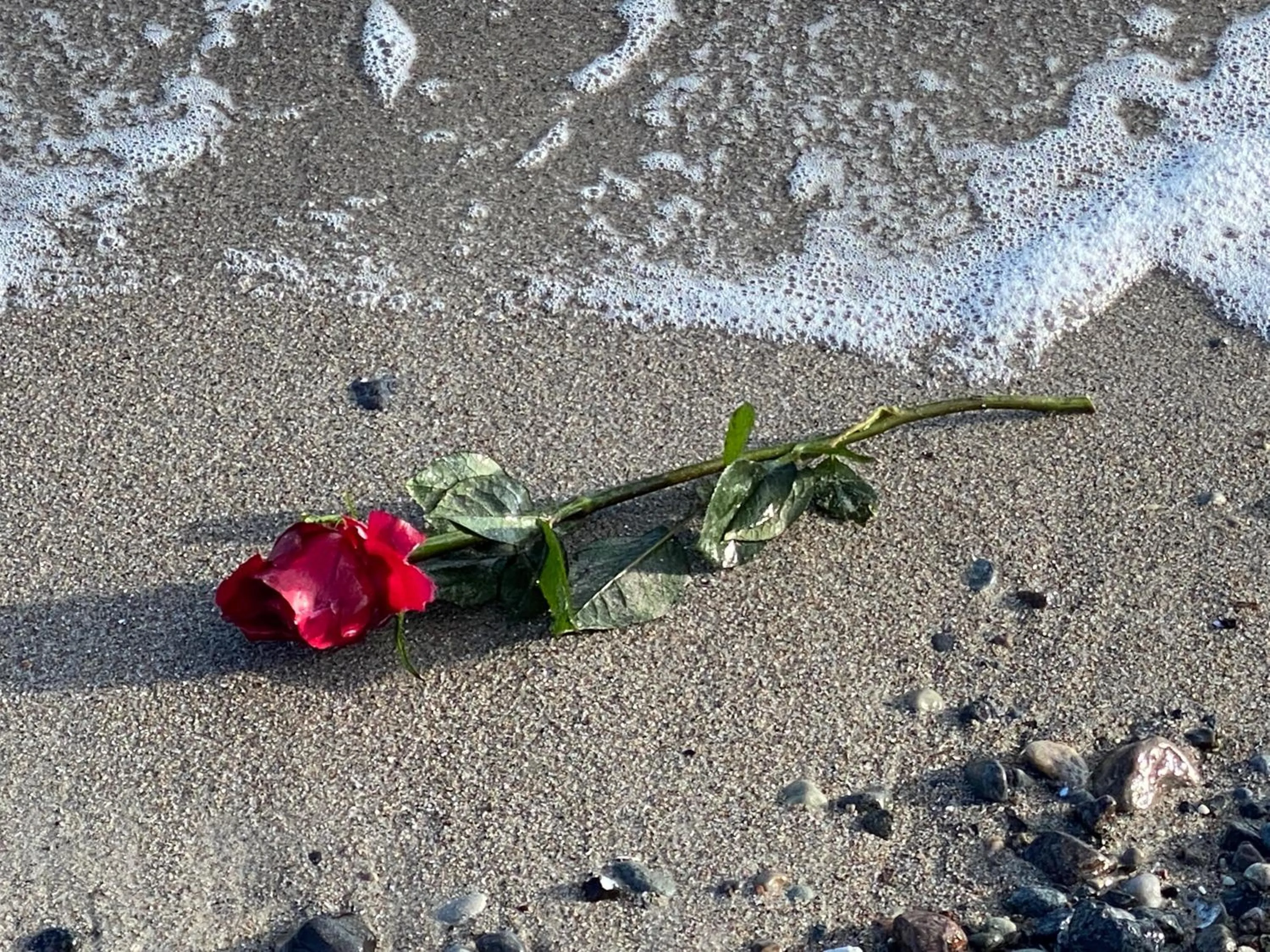 Nearby landmark in Villa Pension Strandhaus - adults only