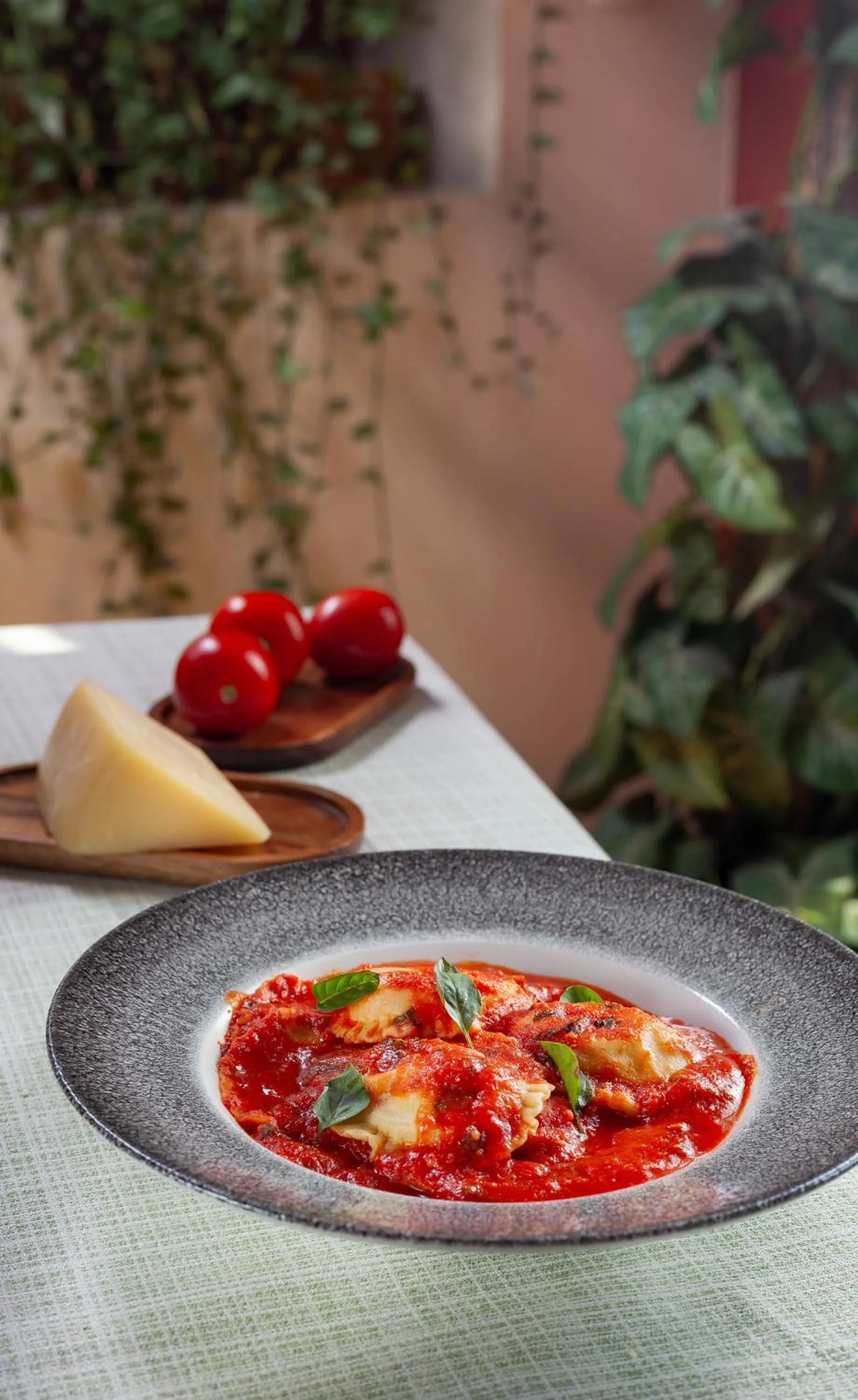 Hotel Plaza San Carlos