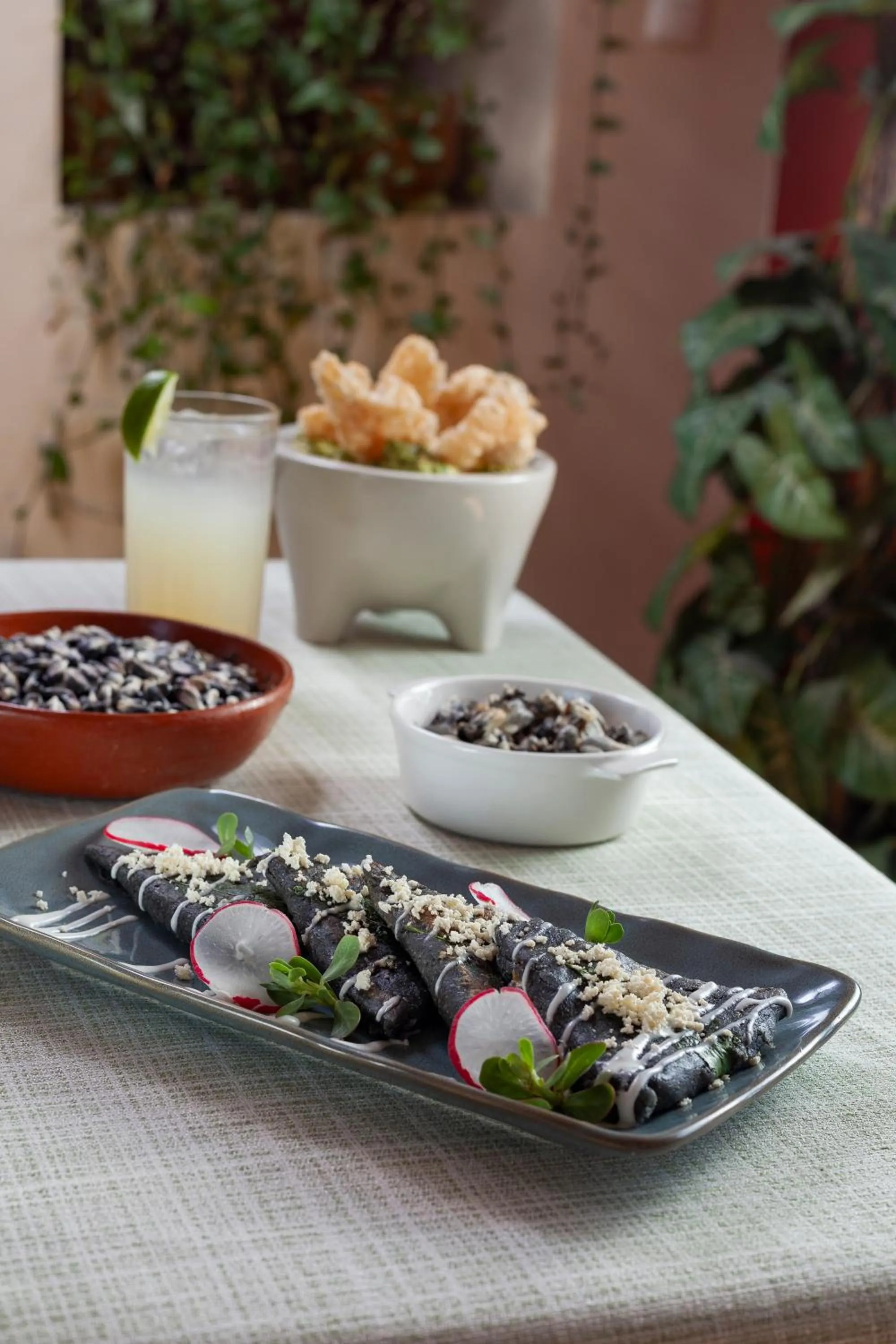 Hotel Plaza San Carlos