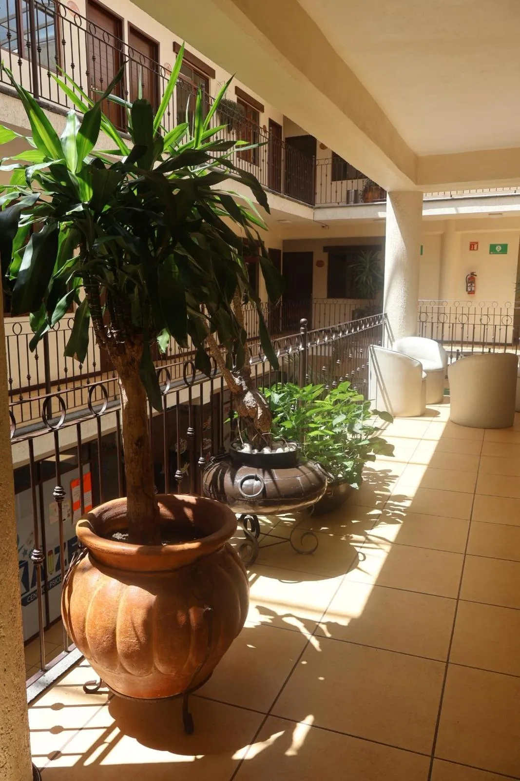 Hotel Plaza San Carlos