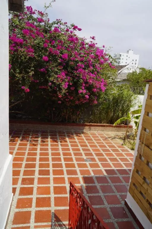 Garden in Hotel Mar di Plata
