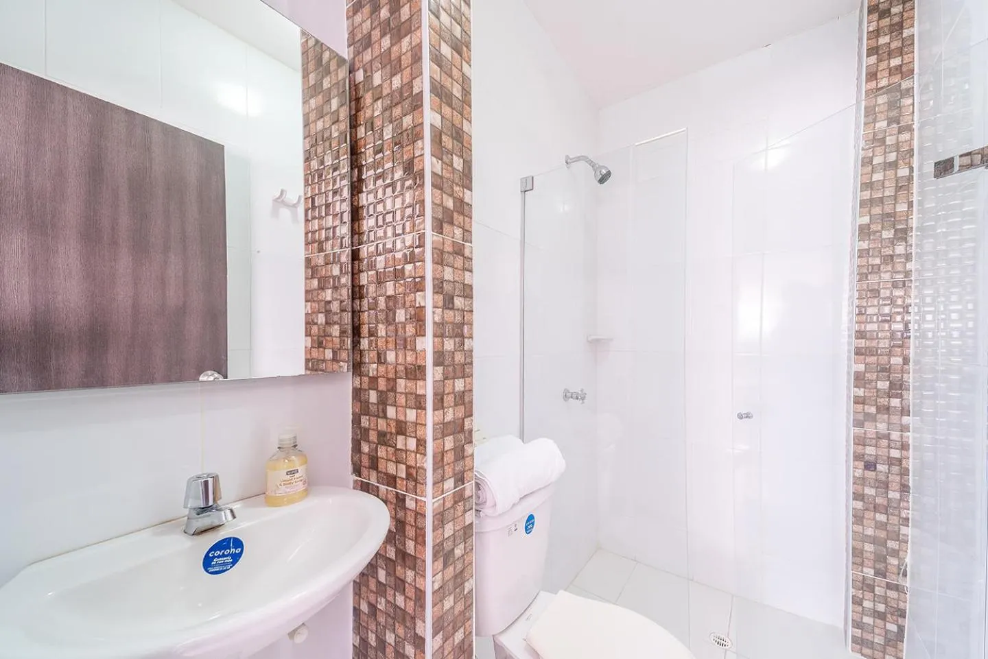 Shower in Hotel Mar di Plata