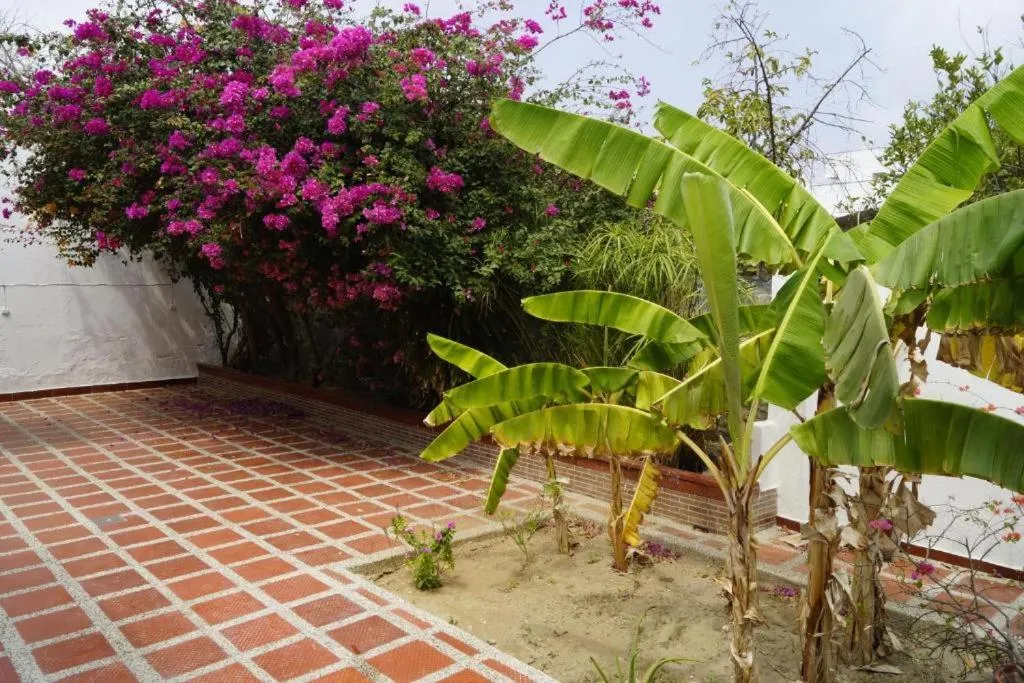 Balcony/Terrace in Hotel Mar di Plata