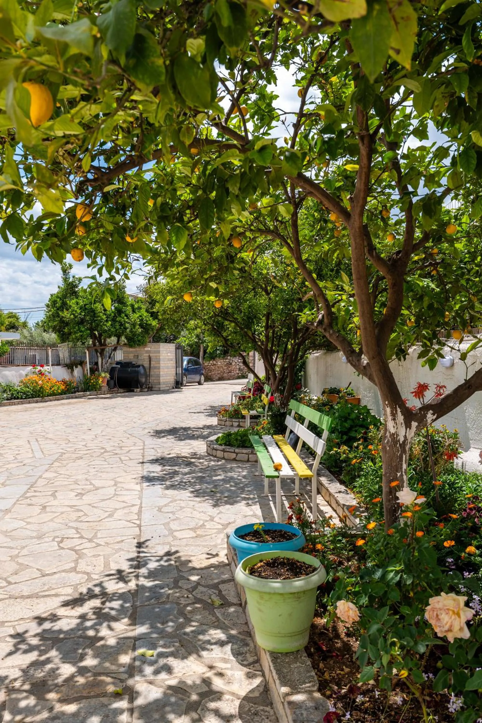 Garden view in Hotel Artur2