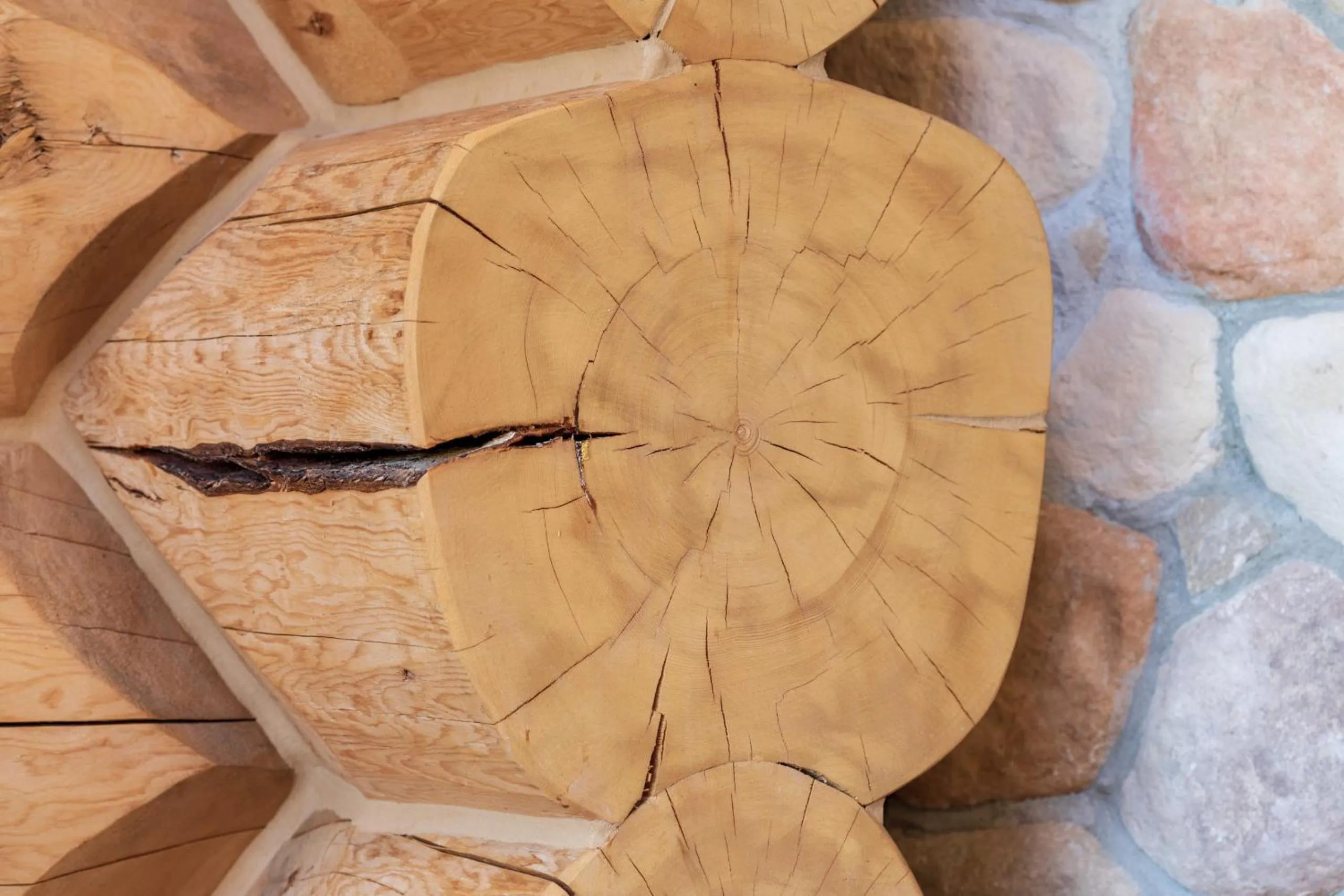 Decorative detail in Moberly Lodge