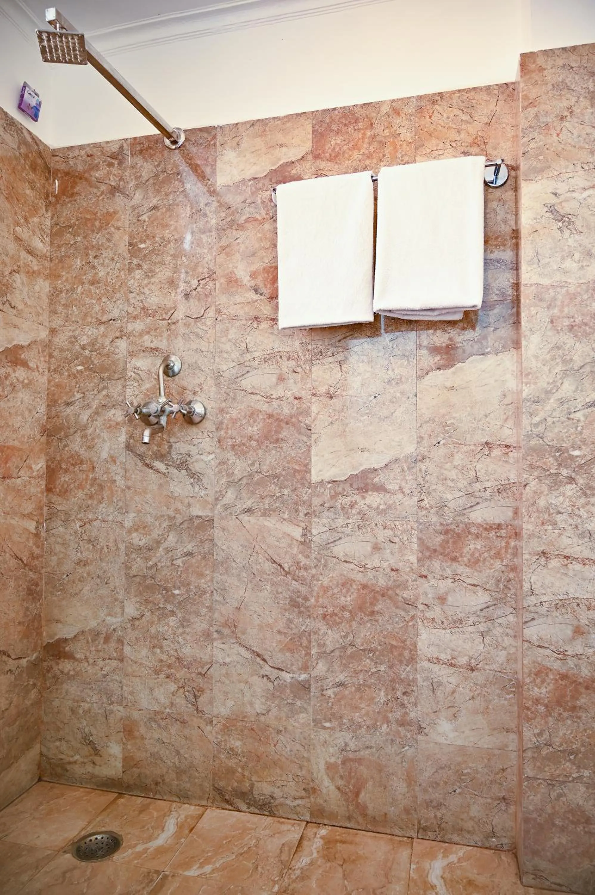 Shower in Hotel Dodas Palace