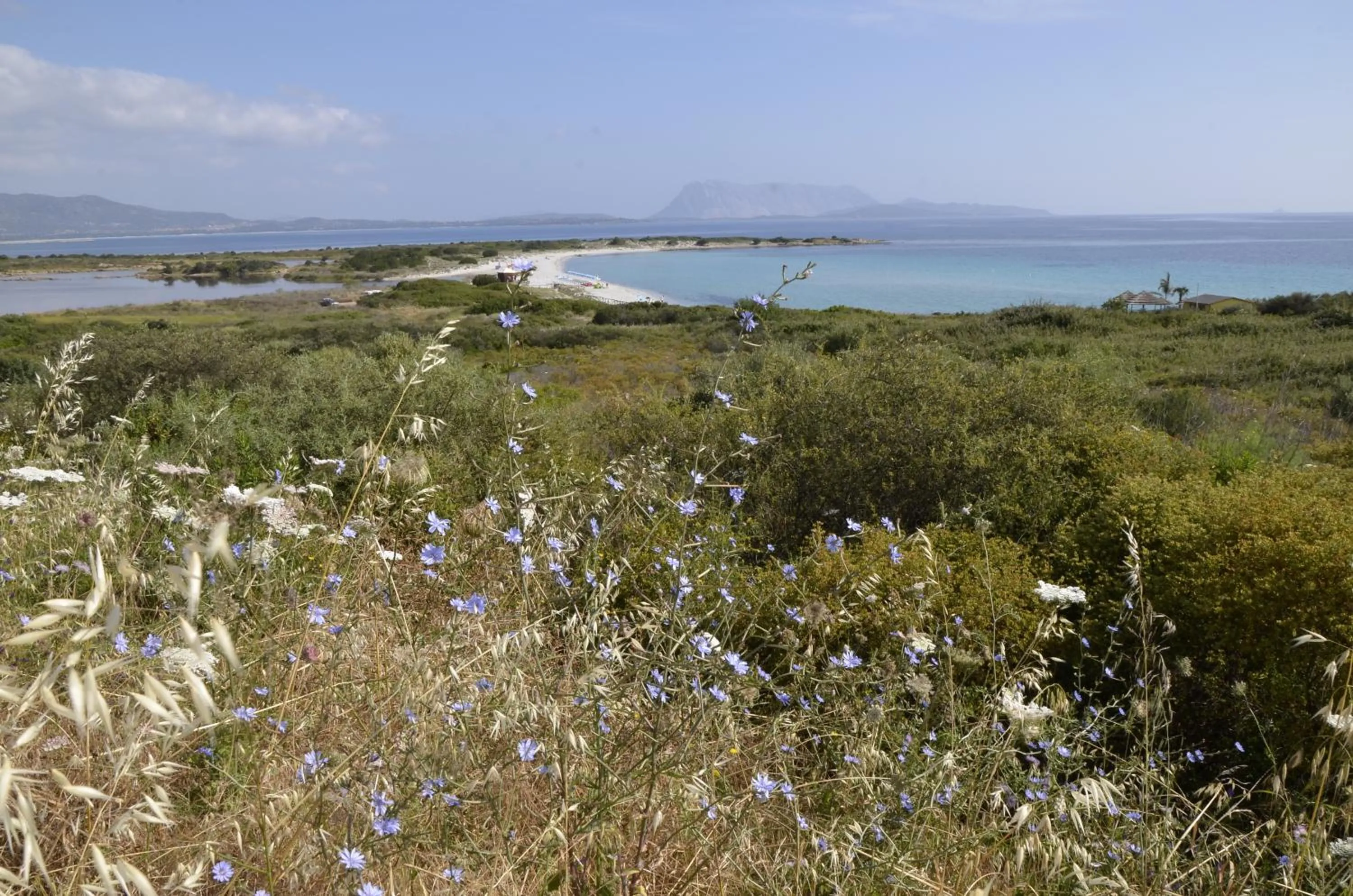 Natural landscape in Le Villette al Centro