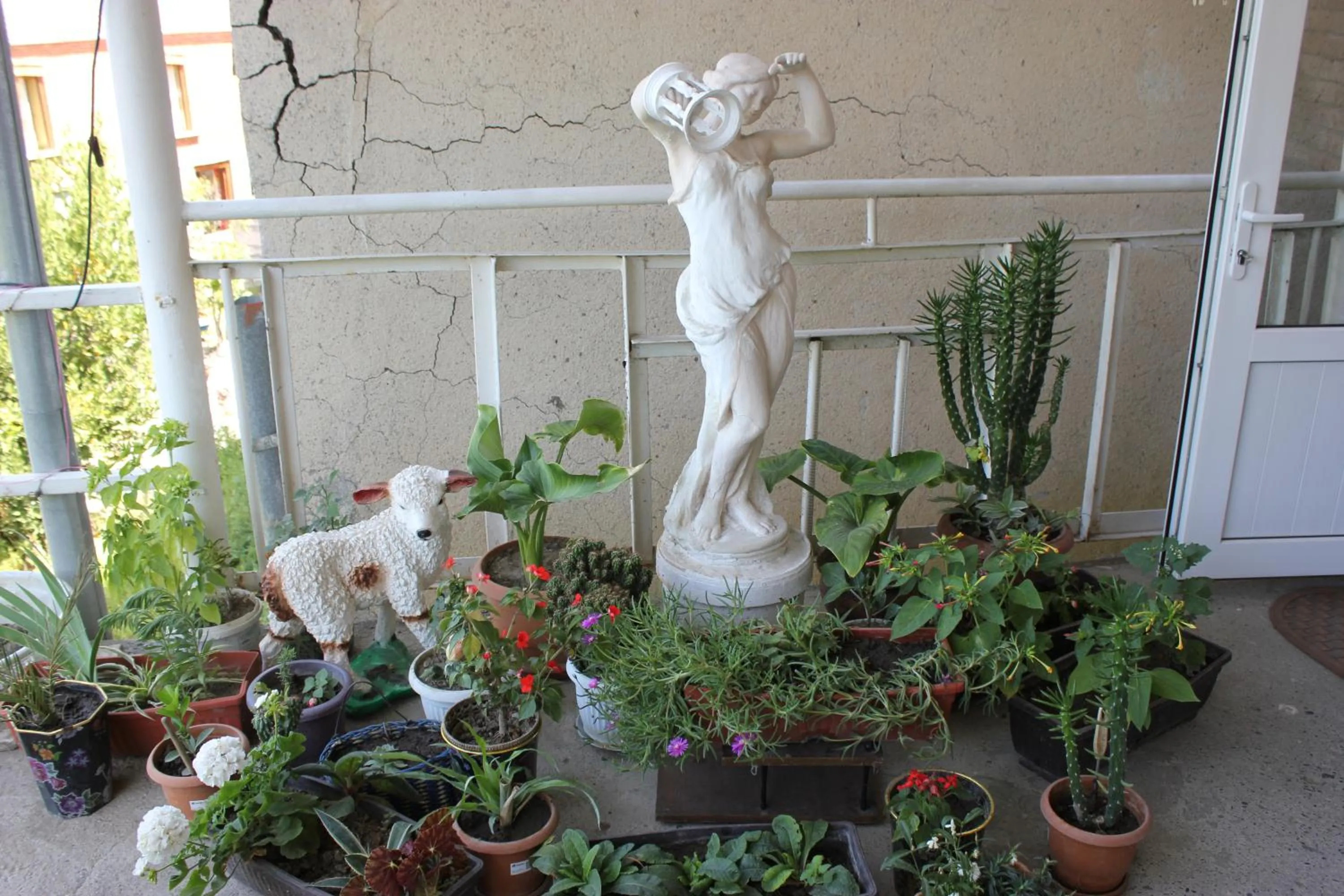 Balcony/Terrace in Guest house Gidi