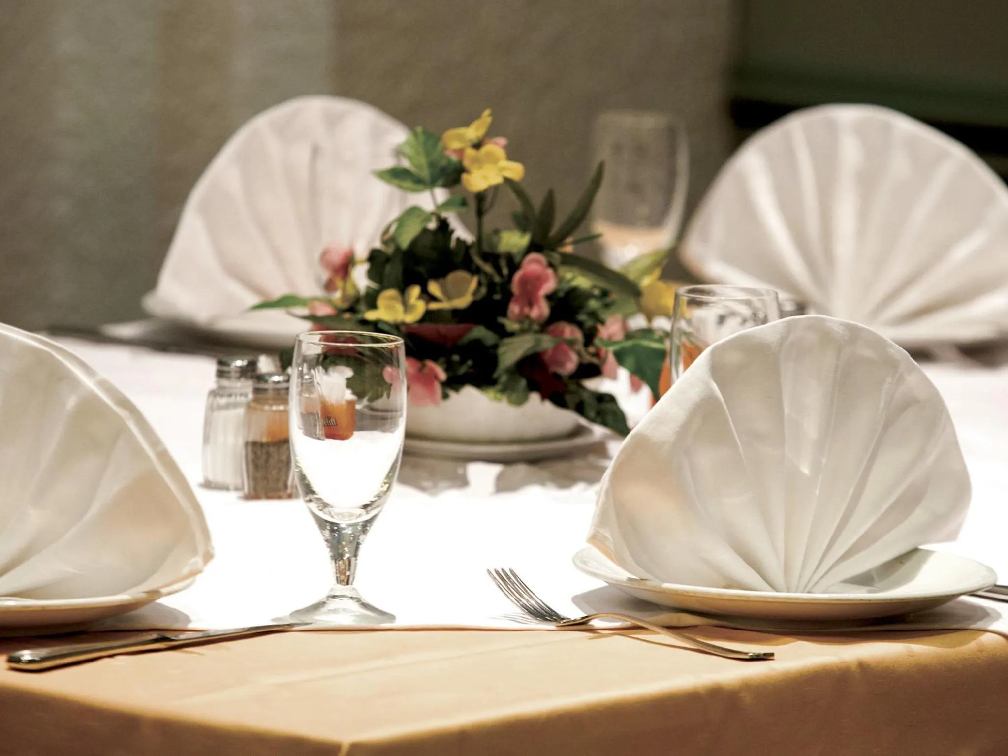 Restaurant/places to eat in Zepter Hotel Drina Bajina Basta, member of Zepter Hotels