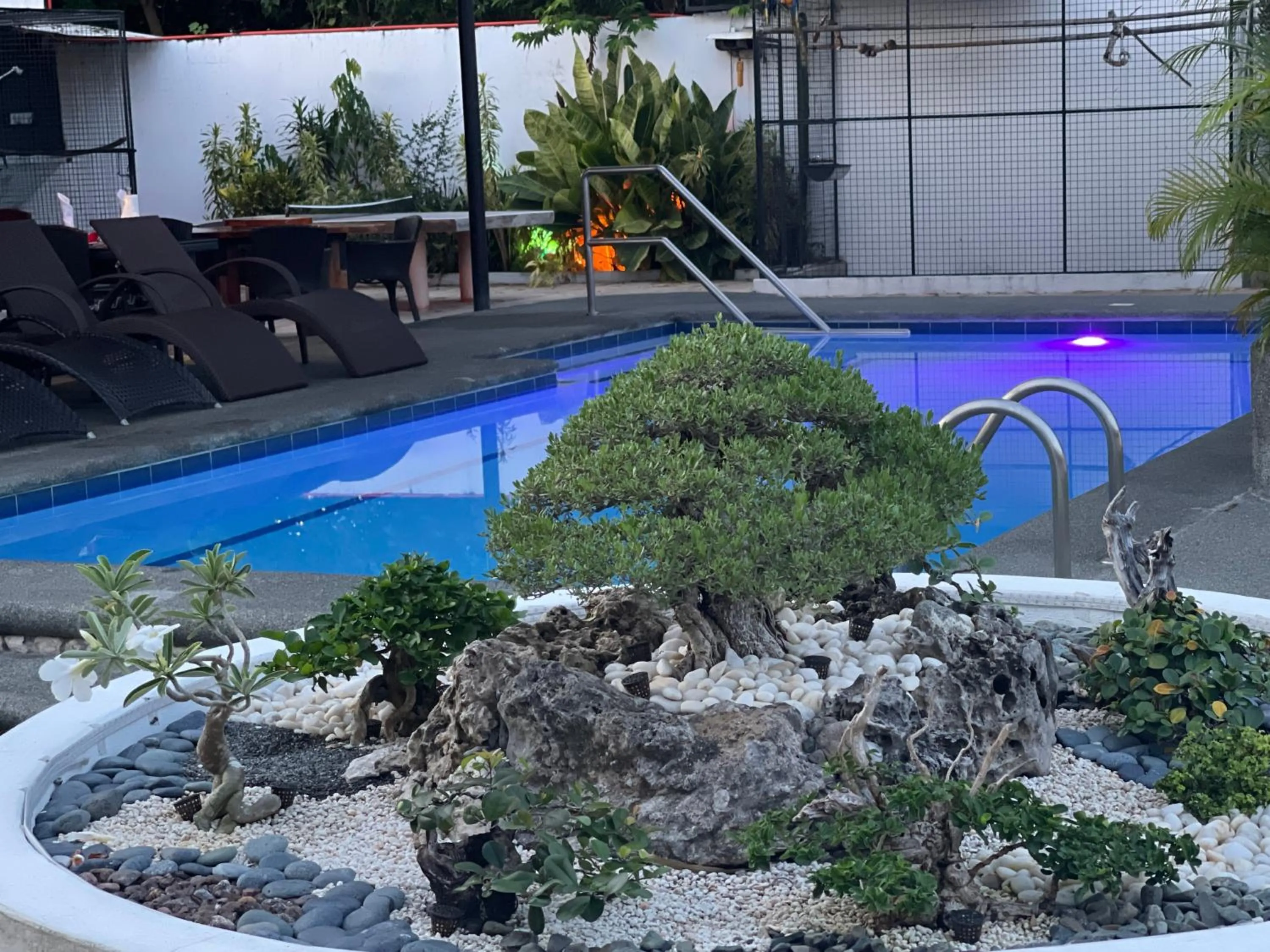 Swimming pool in Parrot Resort Moalboal