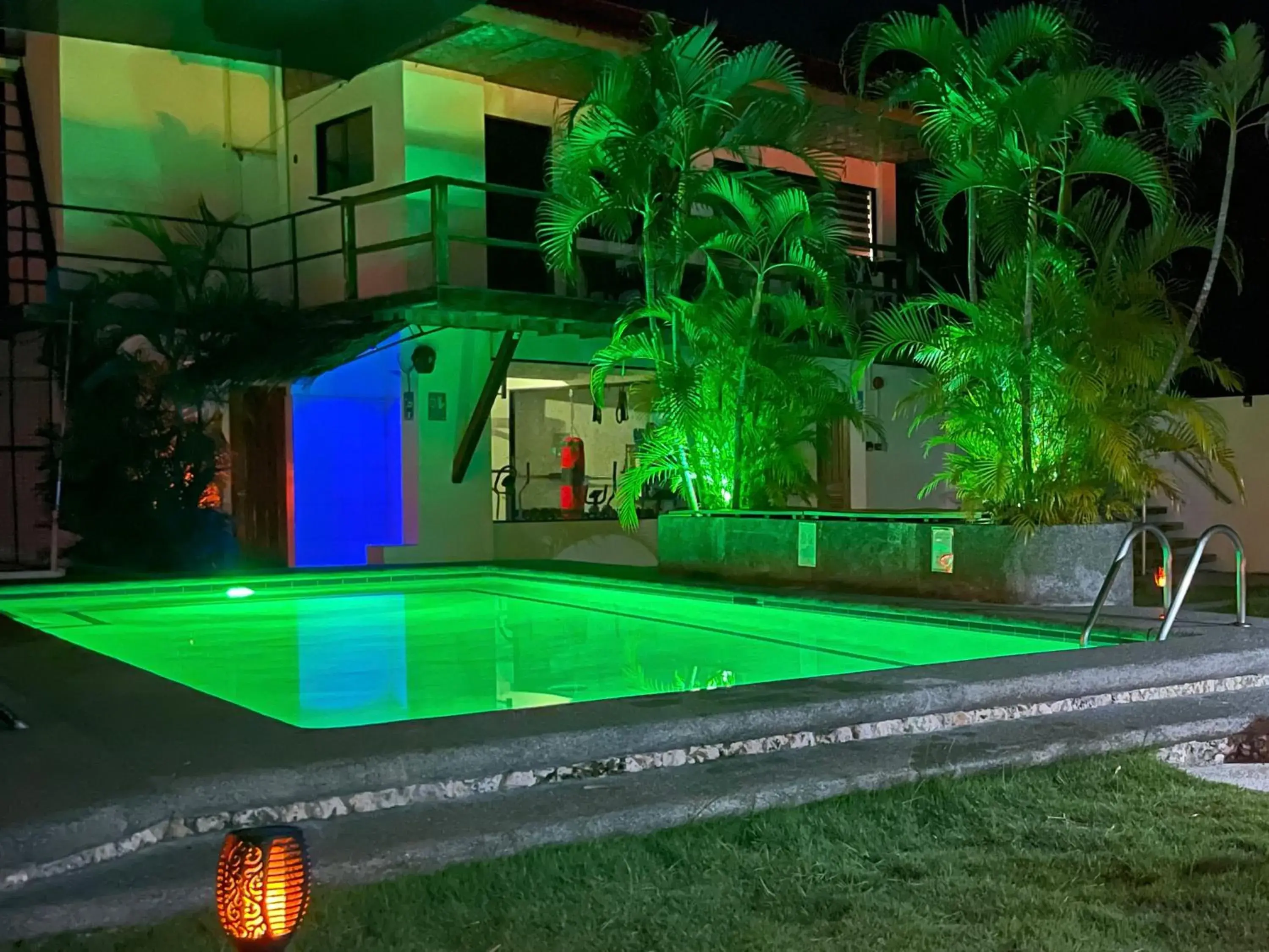 Parrot Resort Moalboal Parrot Resort Moalboal