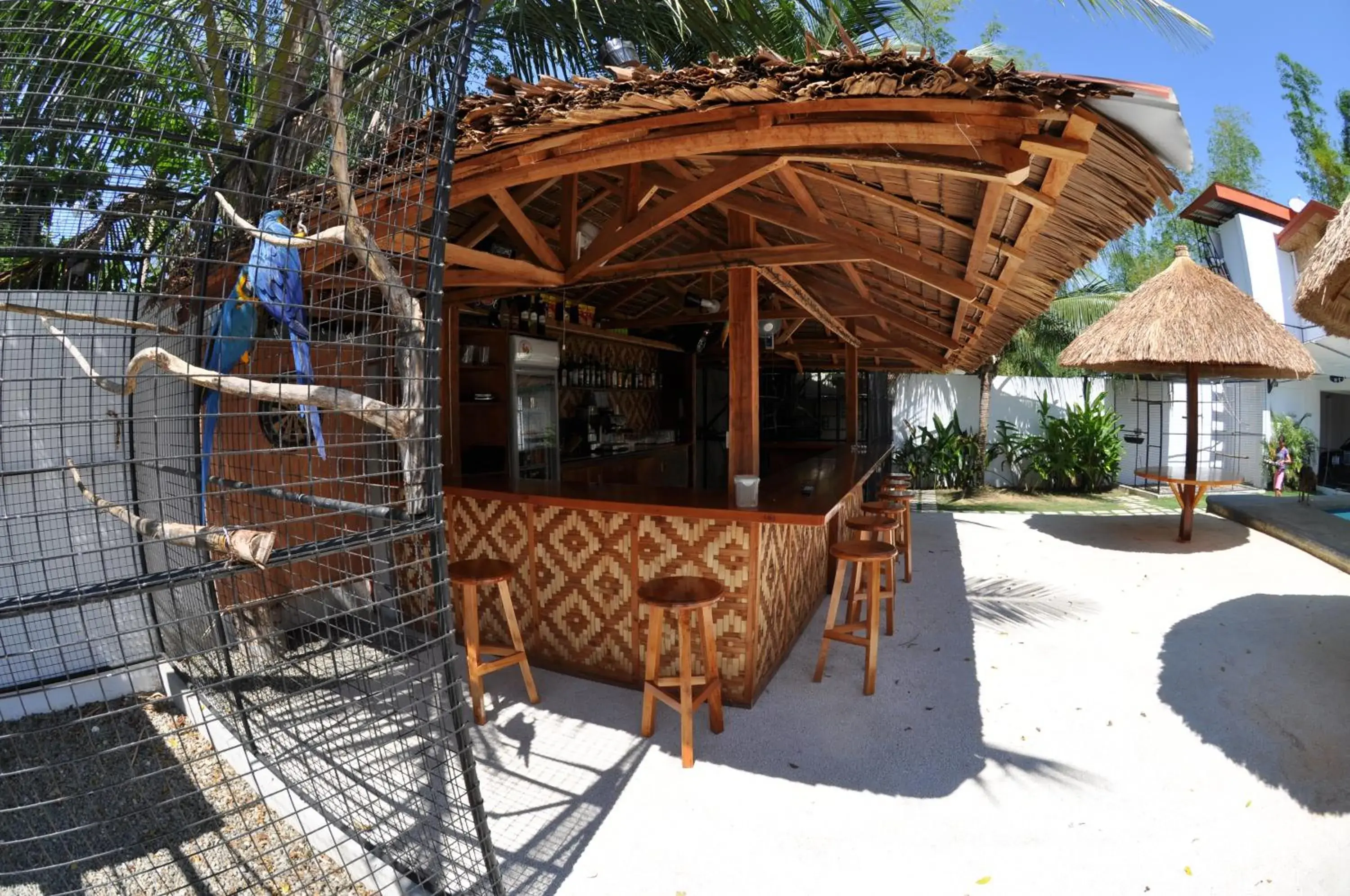 Restaurant/places to eat in Parrot Resort Moalboal Restaurant/places to eat in Parrot Resort Moalboal