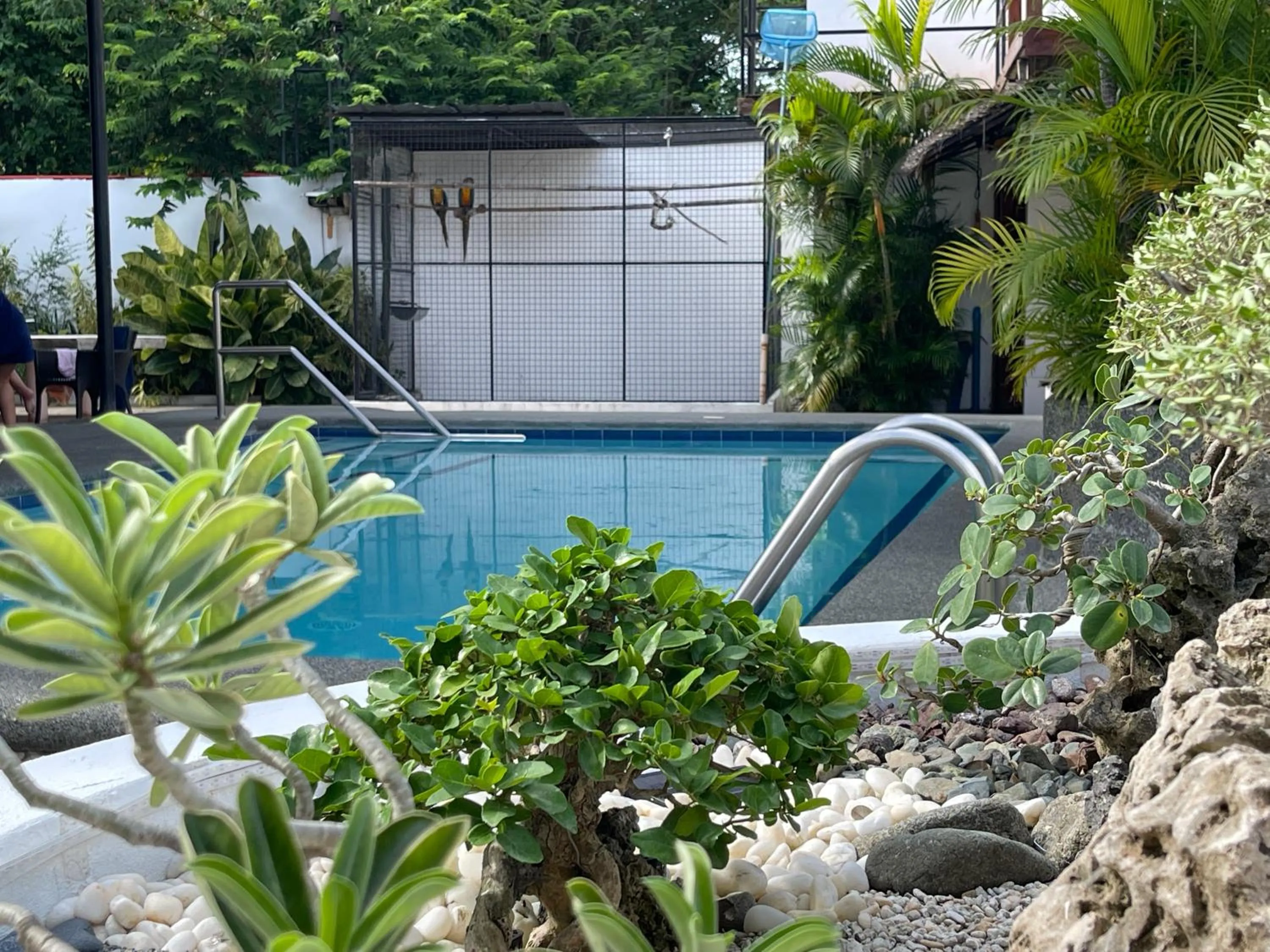 Day in Parrot Resort Moalboal