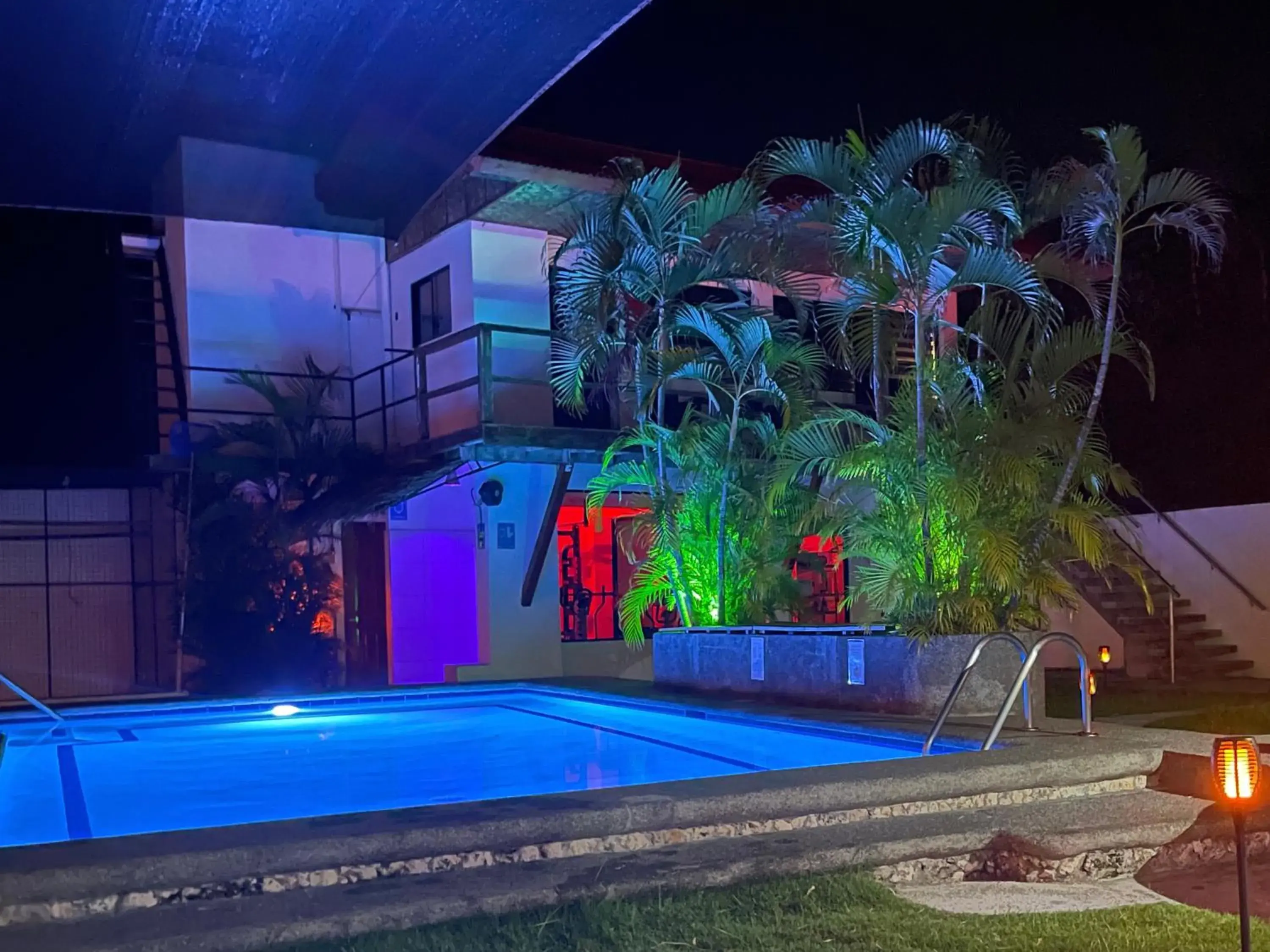 Swimming pool in Parrot Resort Moalboal Swimming pool in Parrot Resort Moalboal