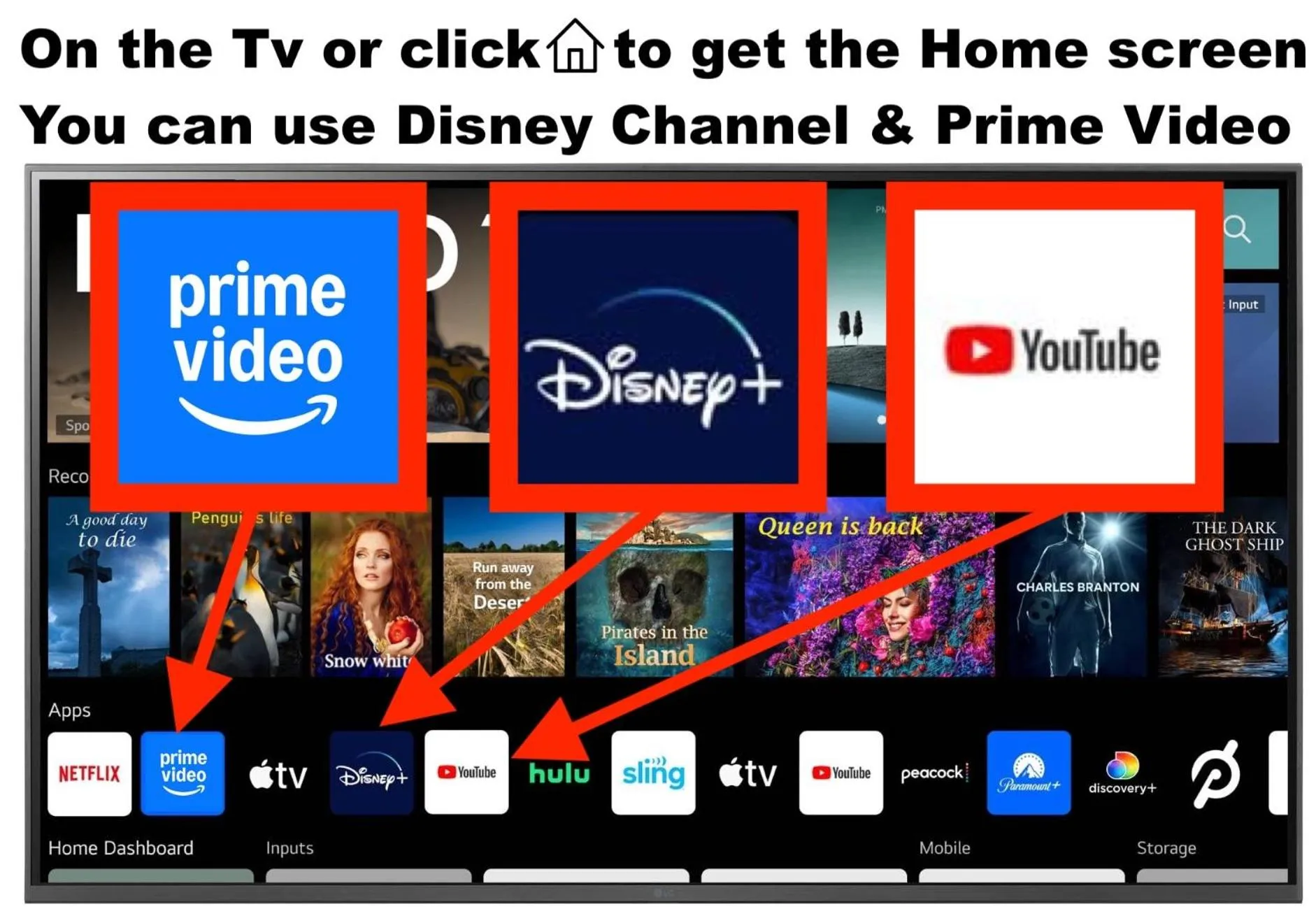 TV and multimedia in Parrot Resort Moalboal