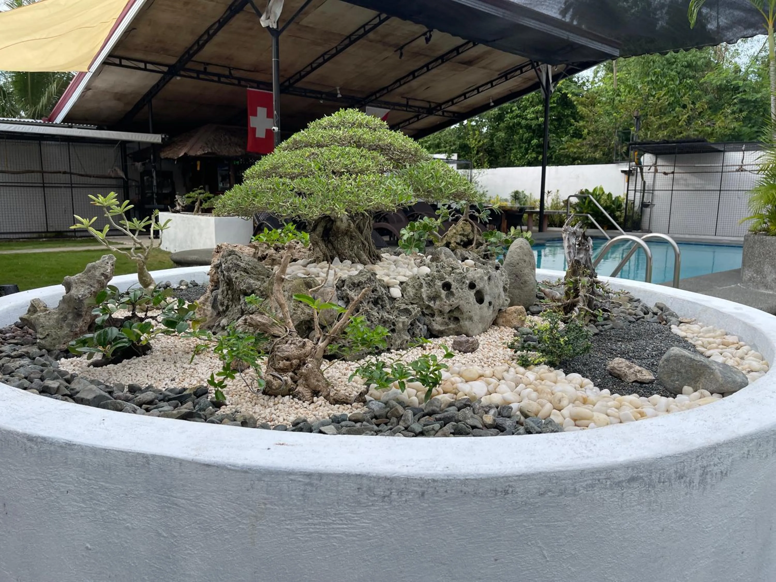 Area and facilities in Parrot Resort Moalboal