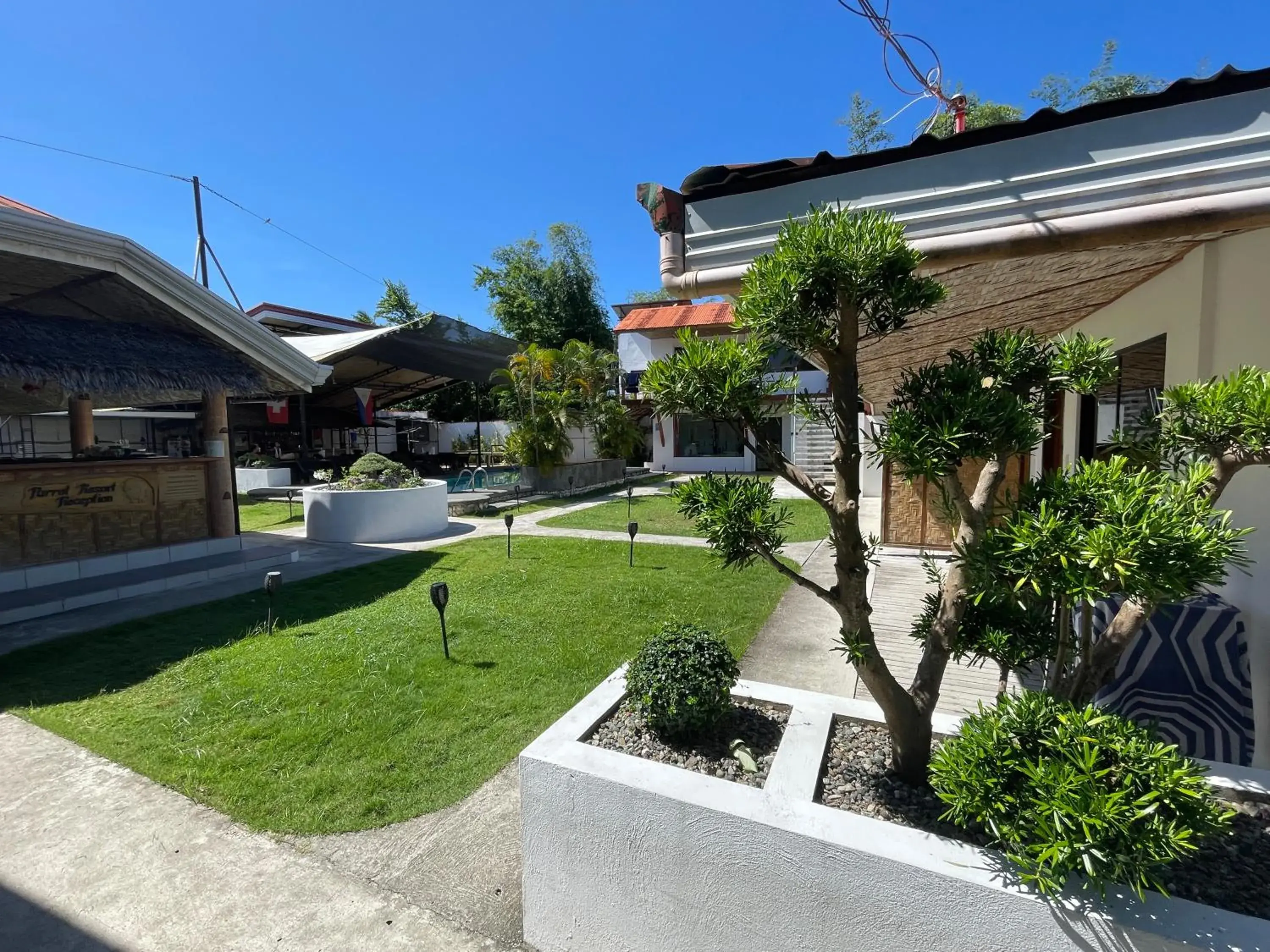 Property building in Parrot Resort Moalboal Property building in Parrot Resort Moalboal