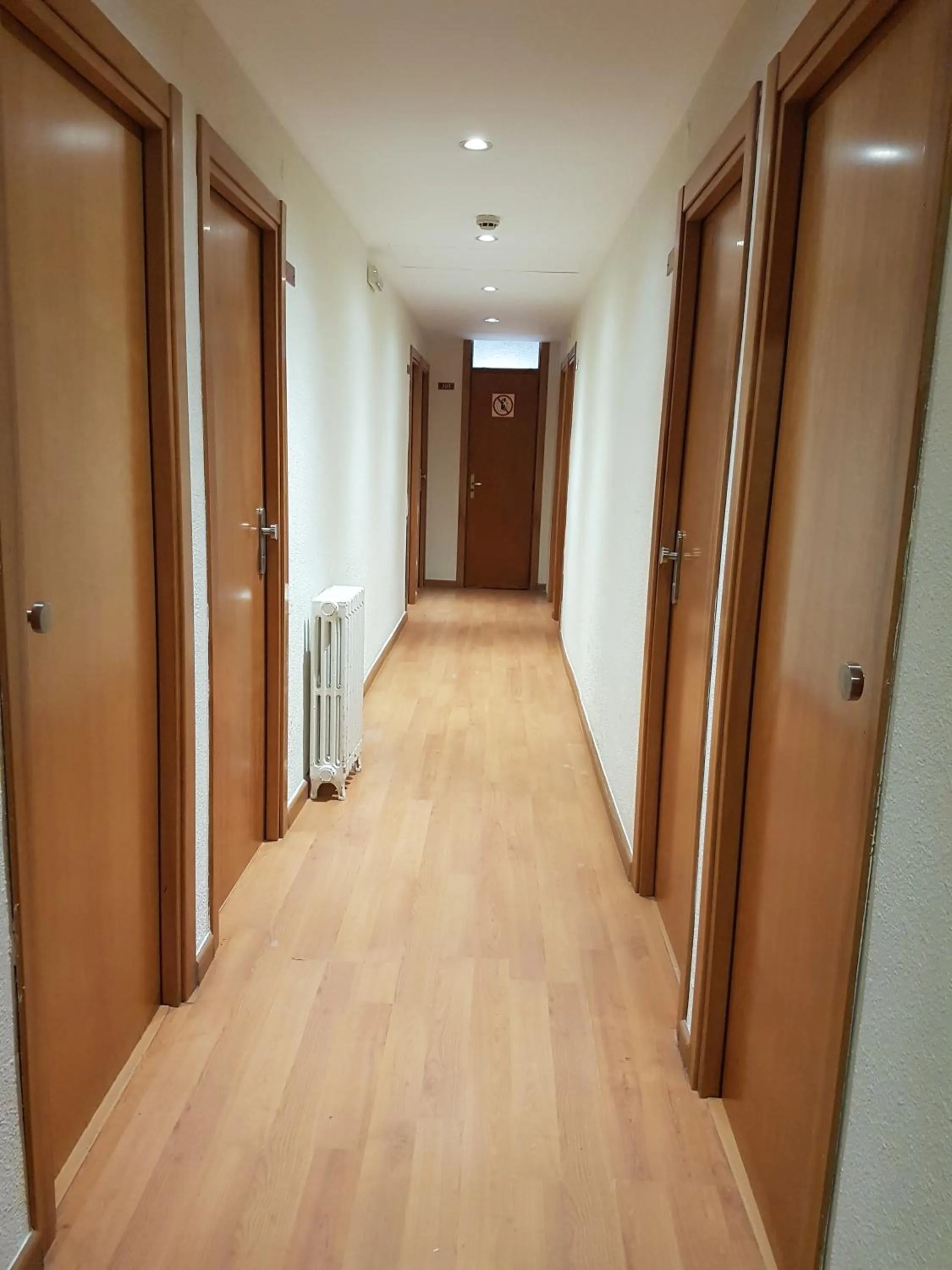 Area and facilities in Hotel Mayna