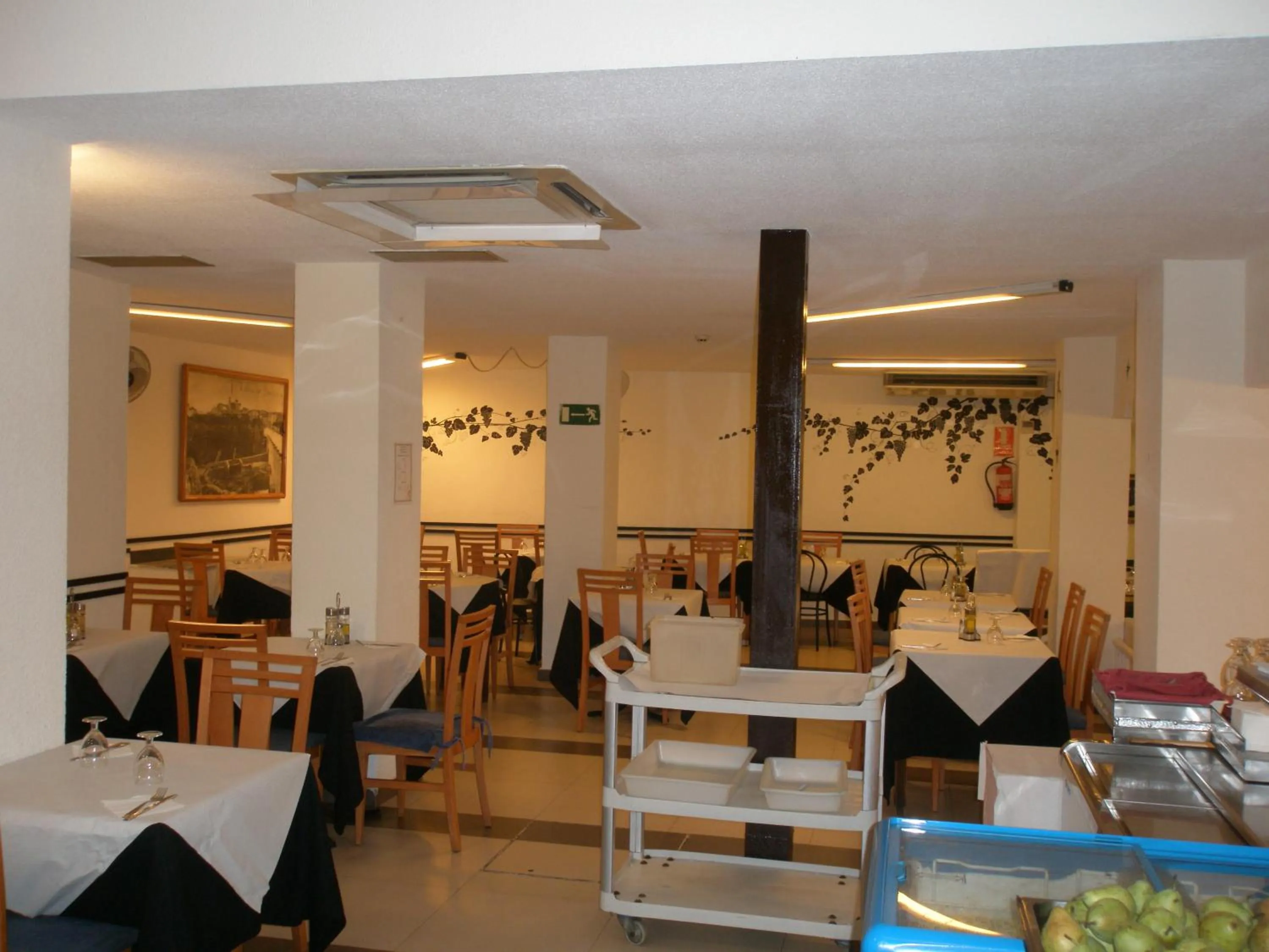 Restaurant/places to eat in Hotel Mayna