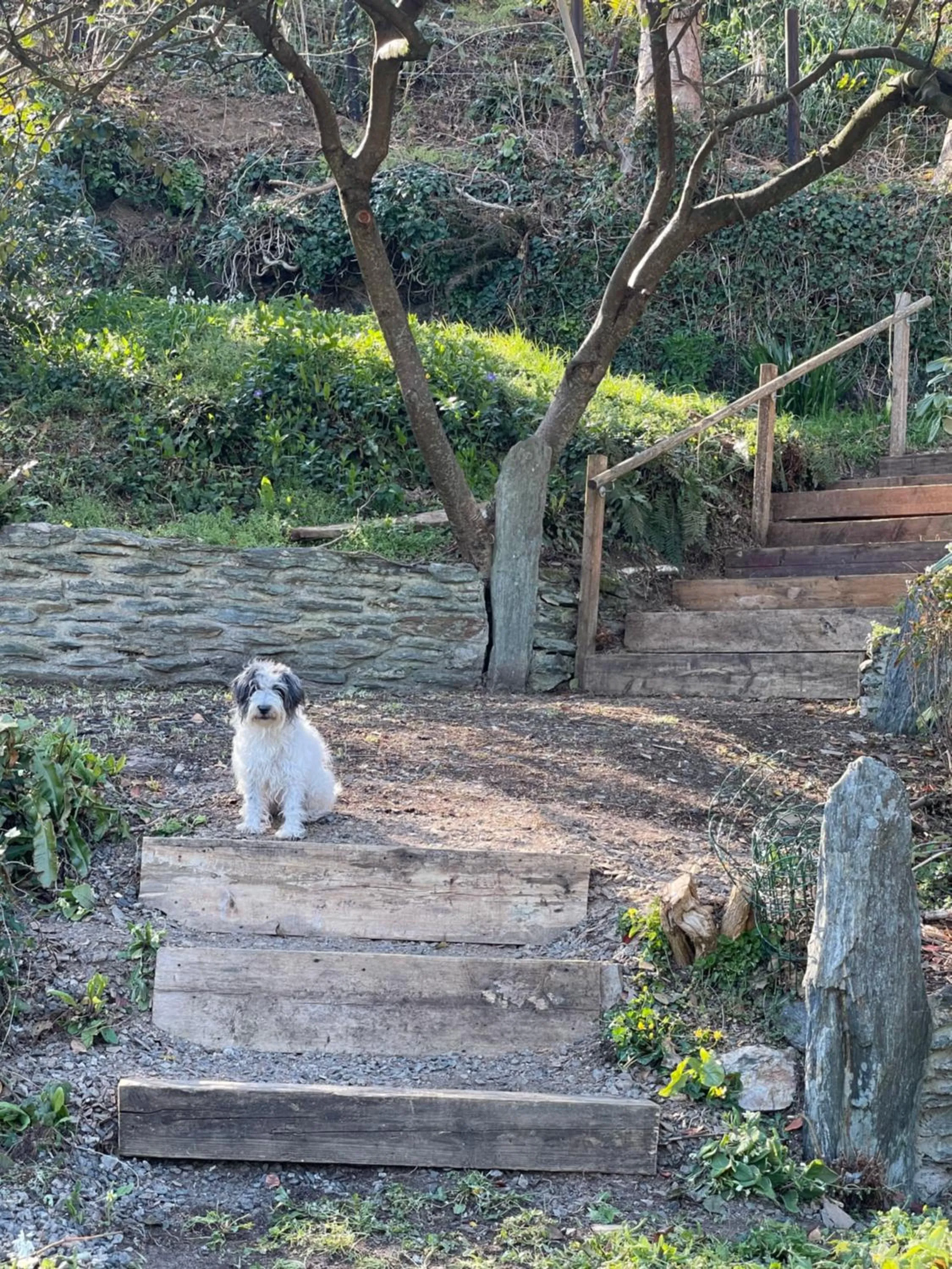 Garden in Westwaterhead