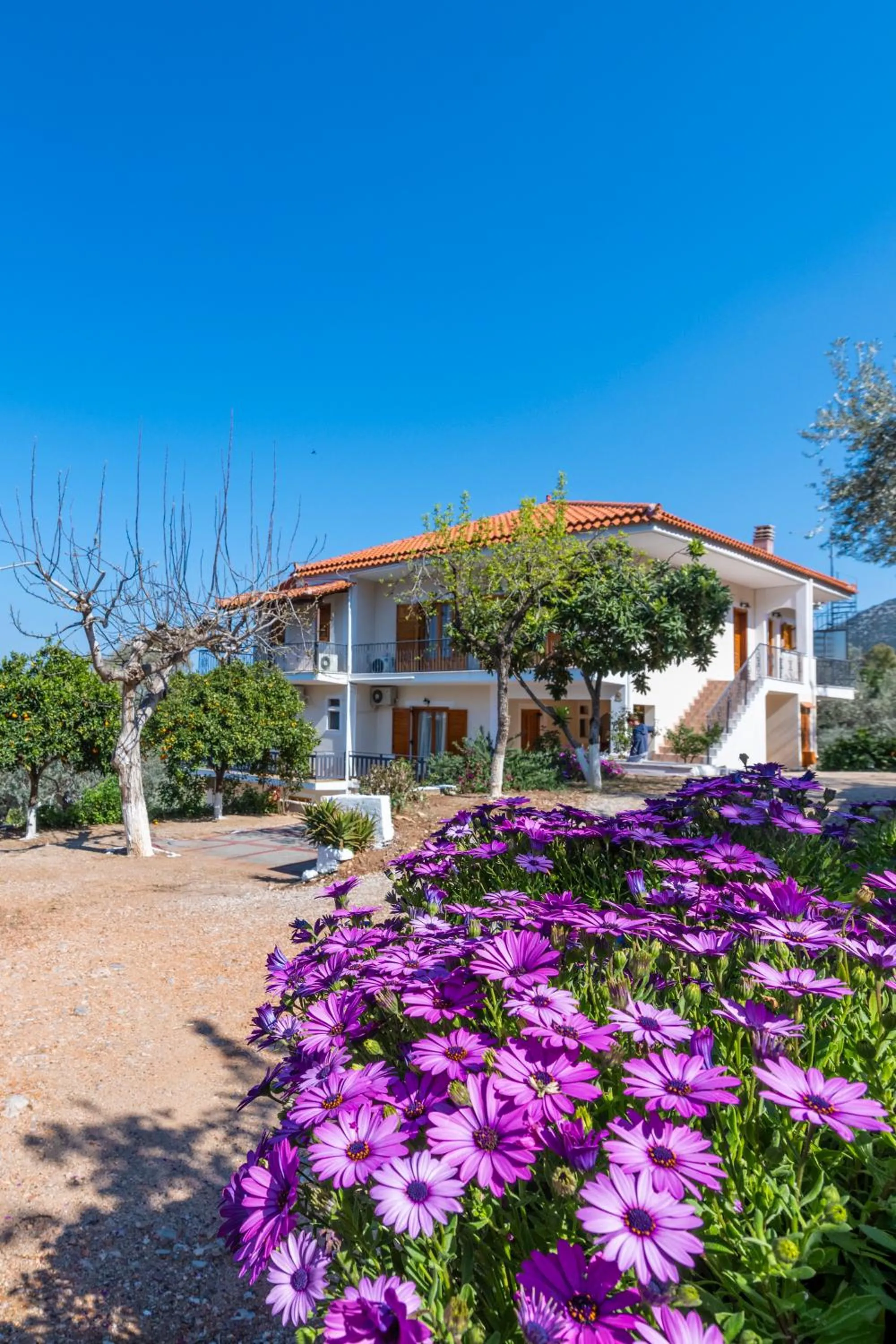 Maria Apartments Studios Epidavros