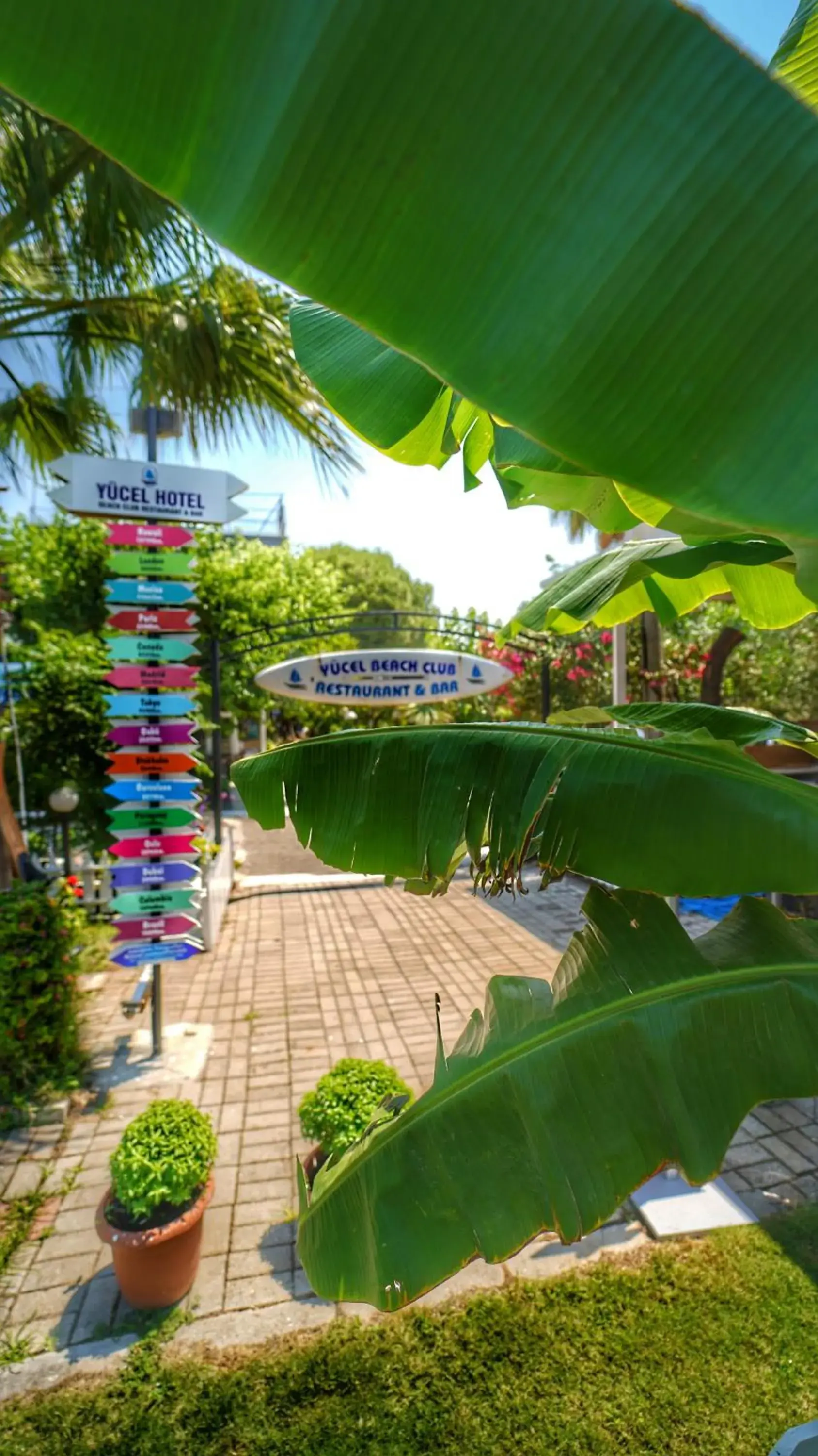 Garden view in Yücel Hotel Garden view in Yücel Hotel