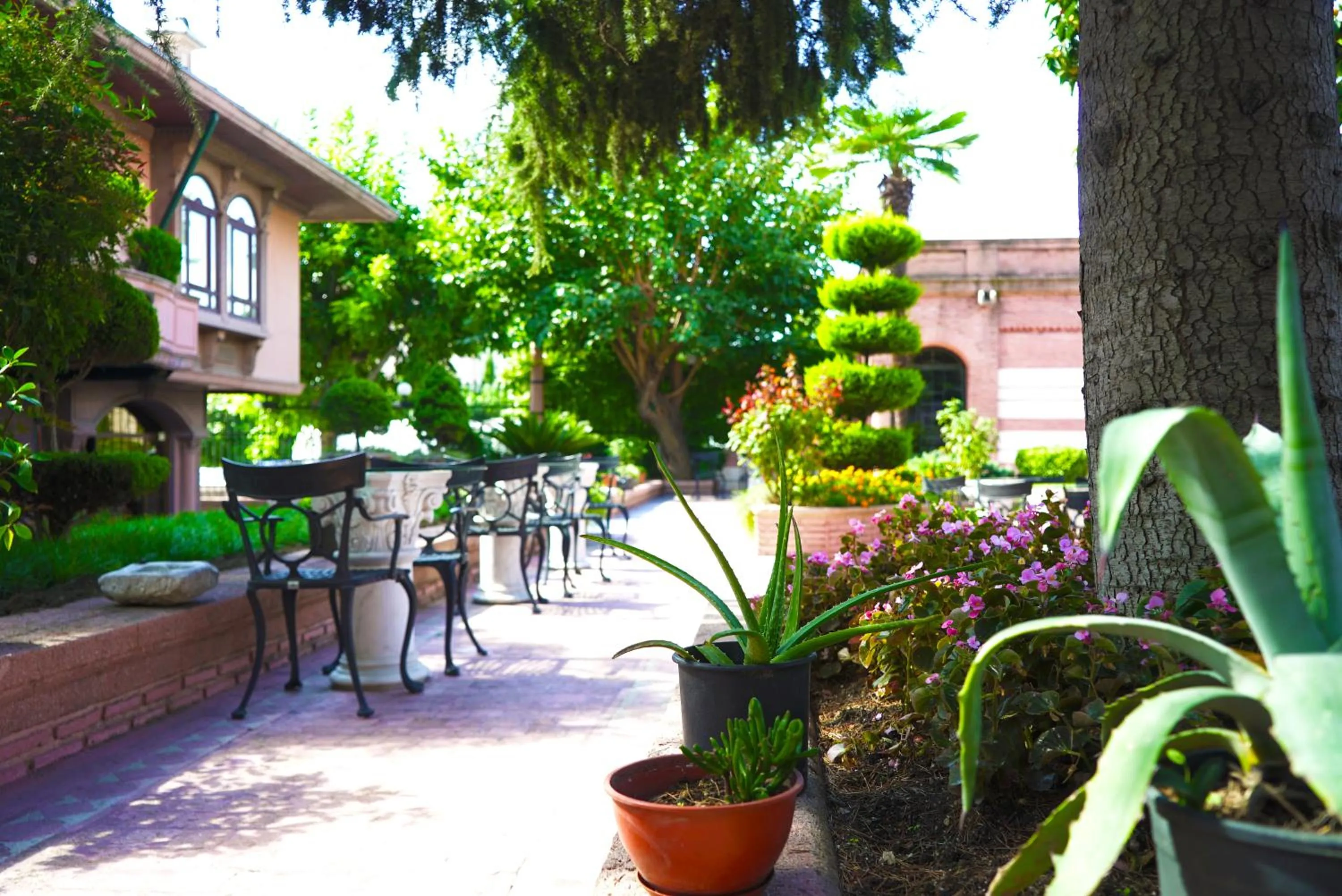 Garden in Sultanahmet Palace Hotel