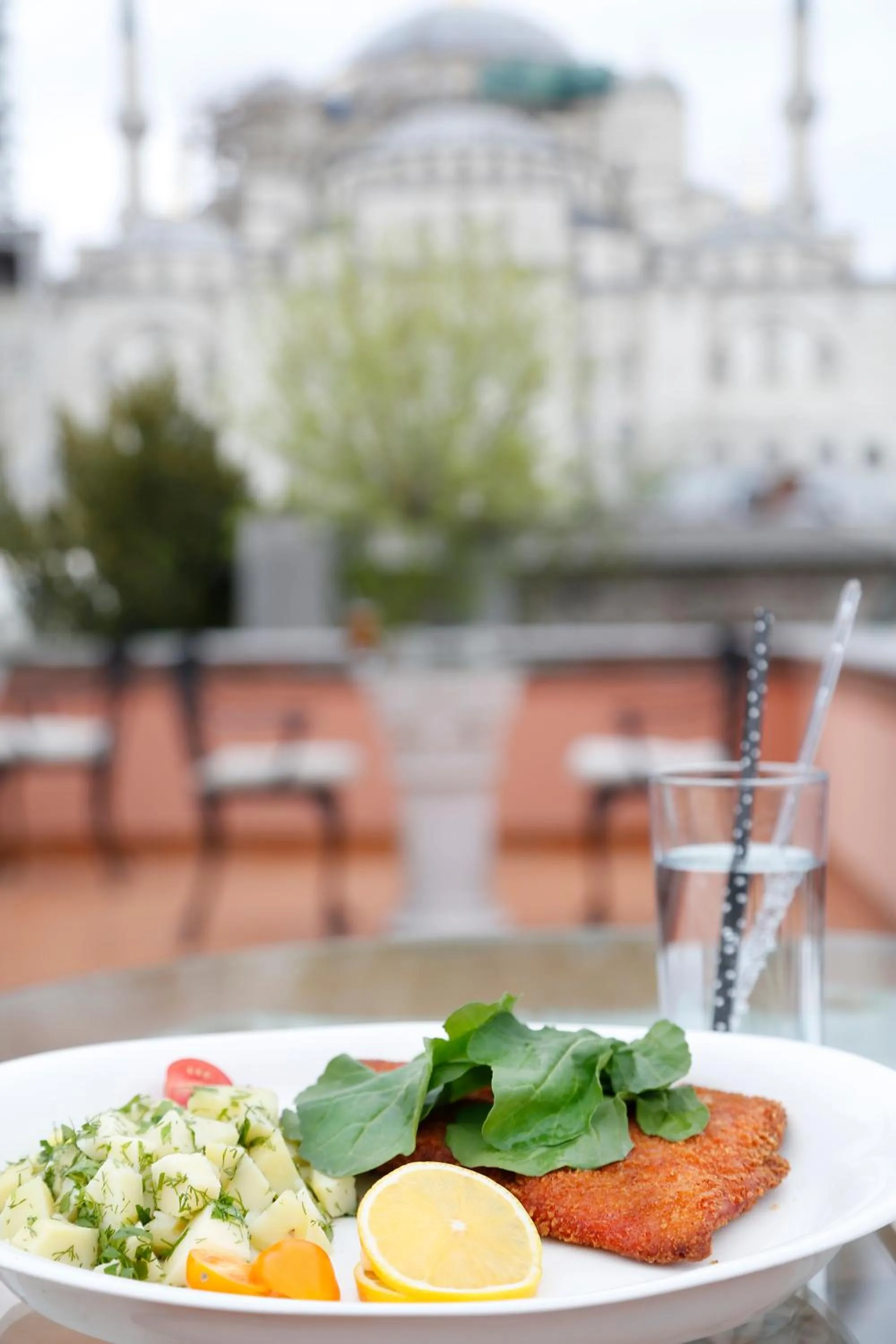 Garden in Sultanahmet Palace Hotel