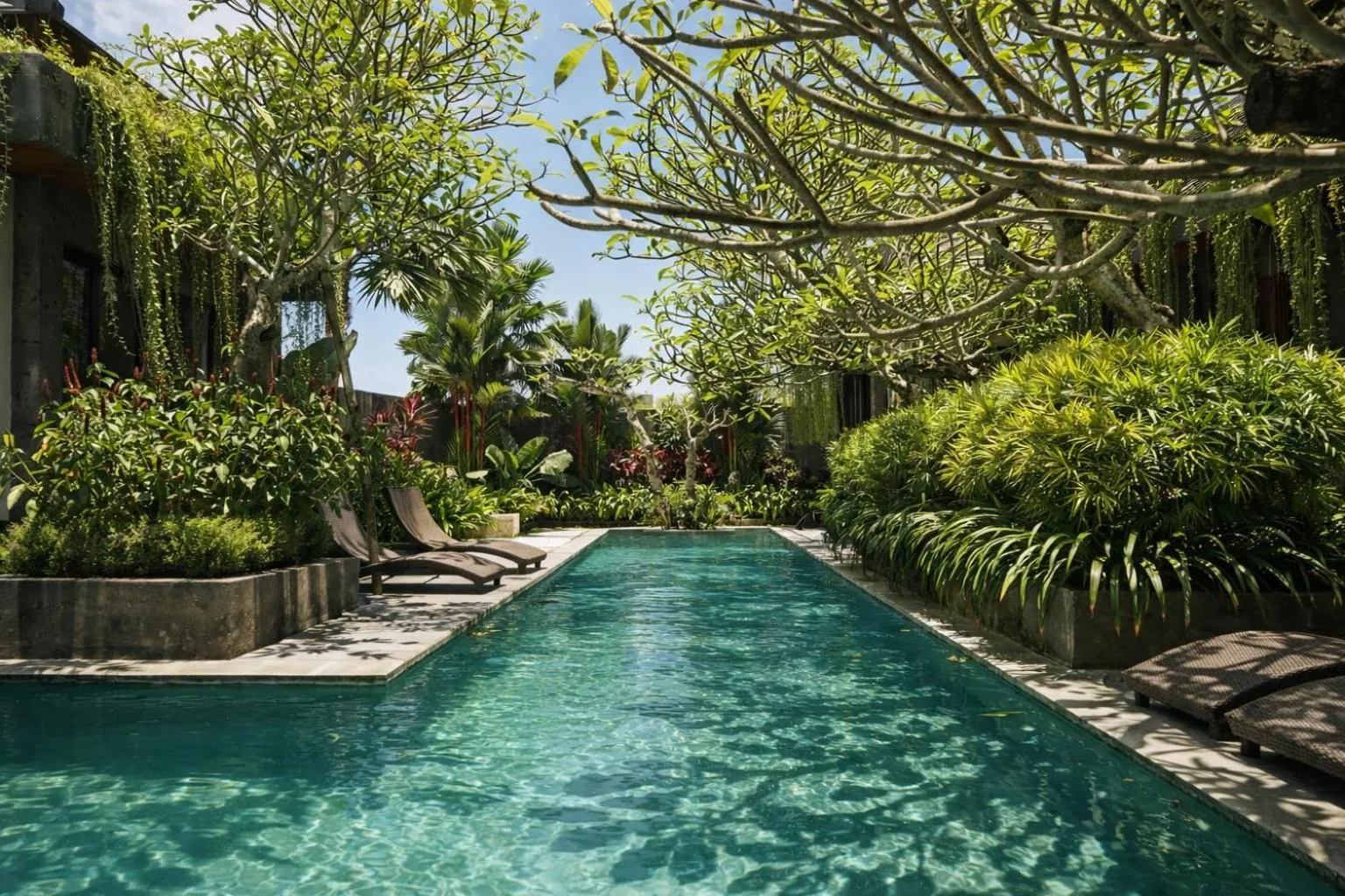 Pool view in Villa Mama 1 Ubud