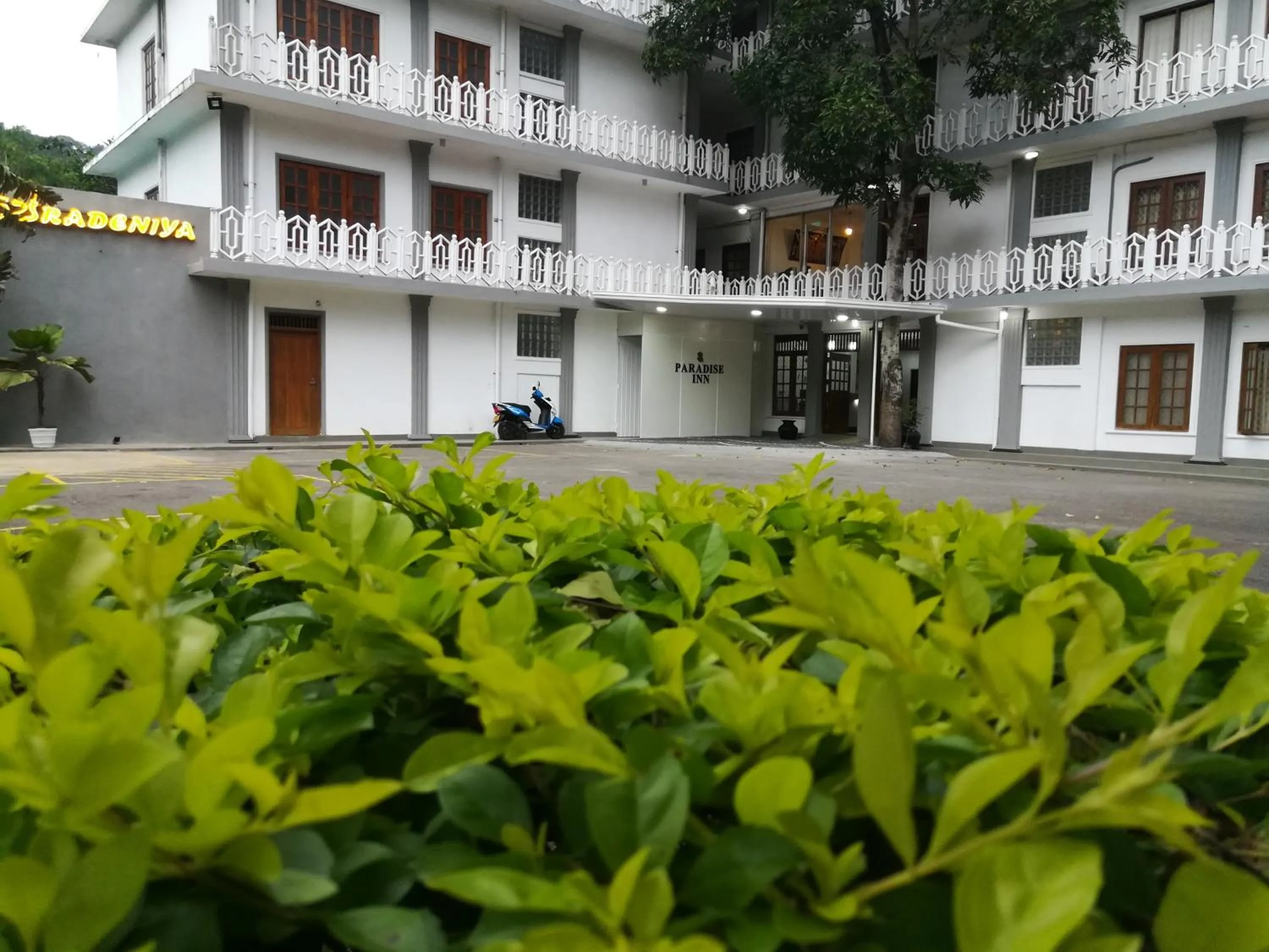 Nearby landmark in Paradise Inn