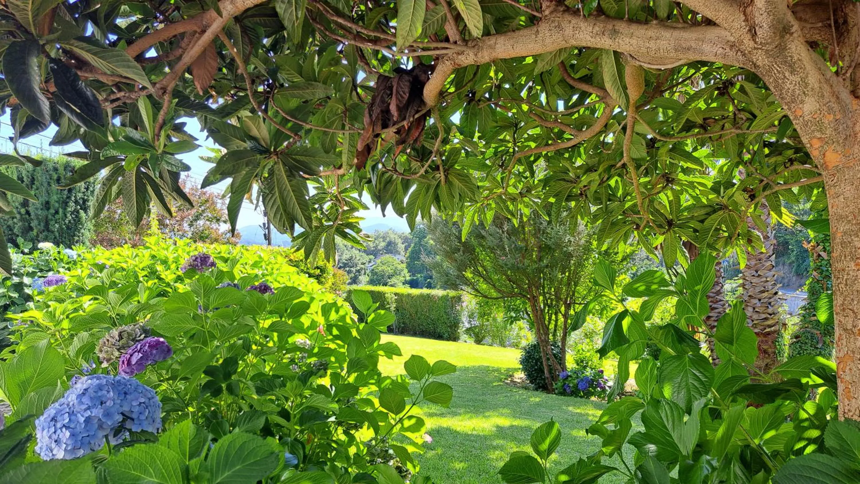 Casa "Pinho" com Jacúzi!