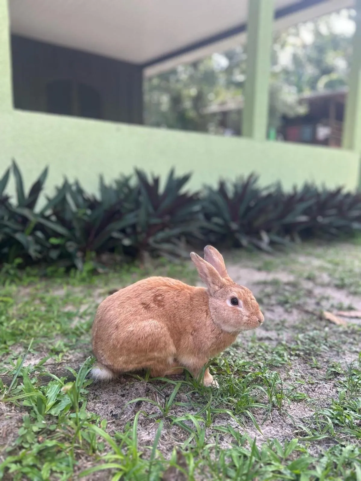 Pousada Toca da Ilha
