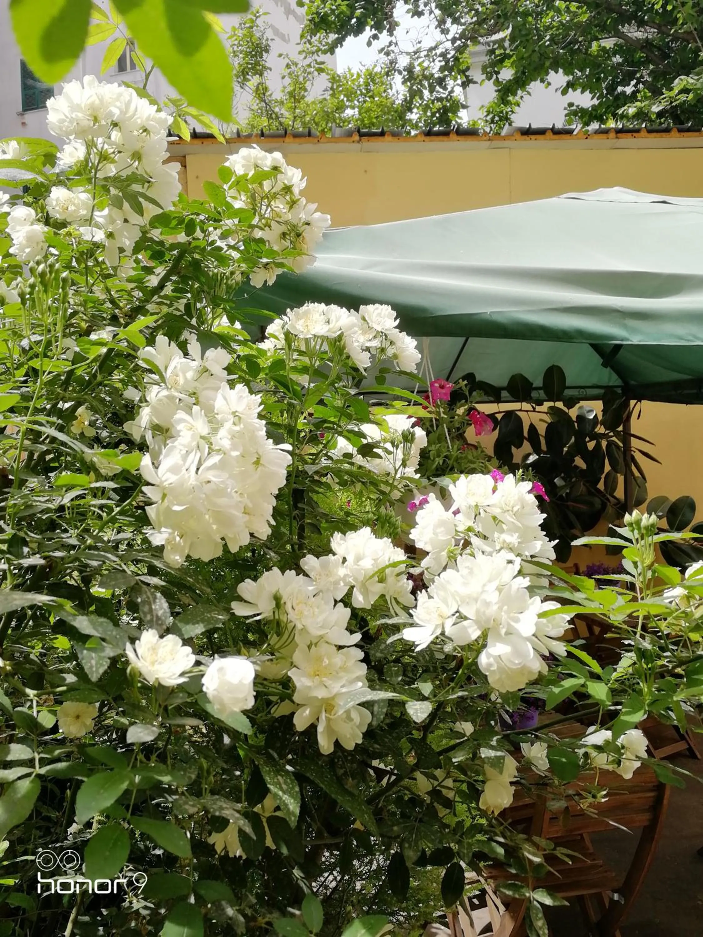 Patio in Cerasella B&B