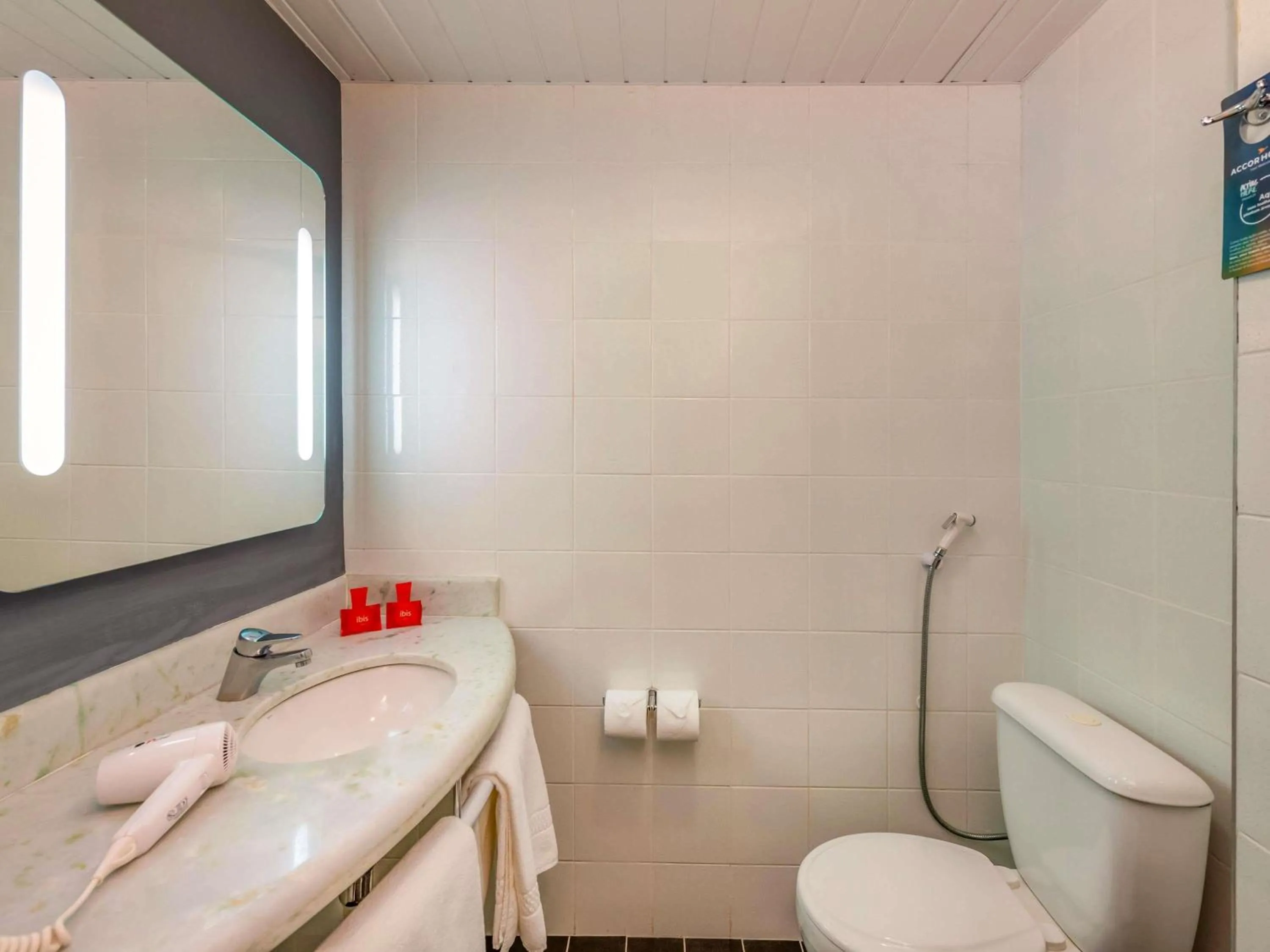 Bedroom in ibis Paulinia