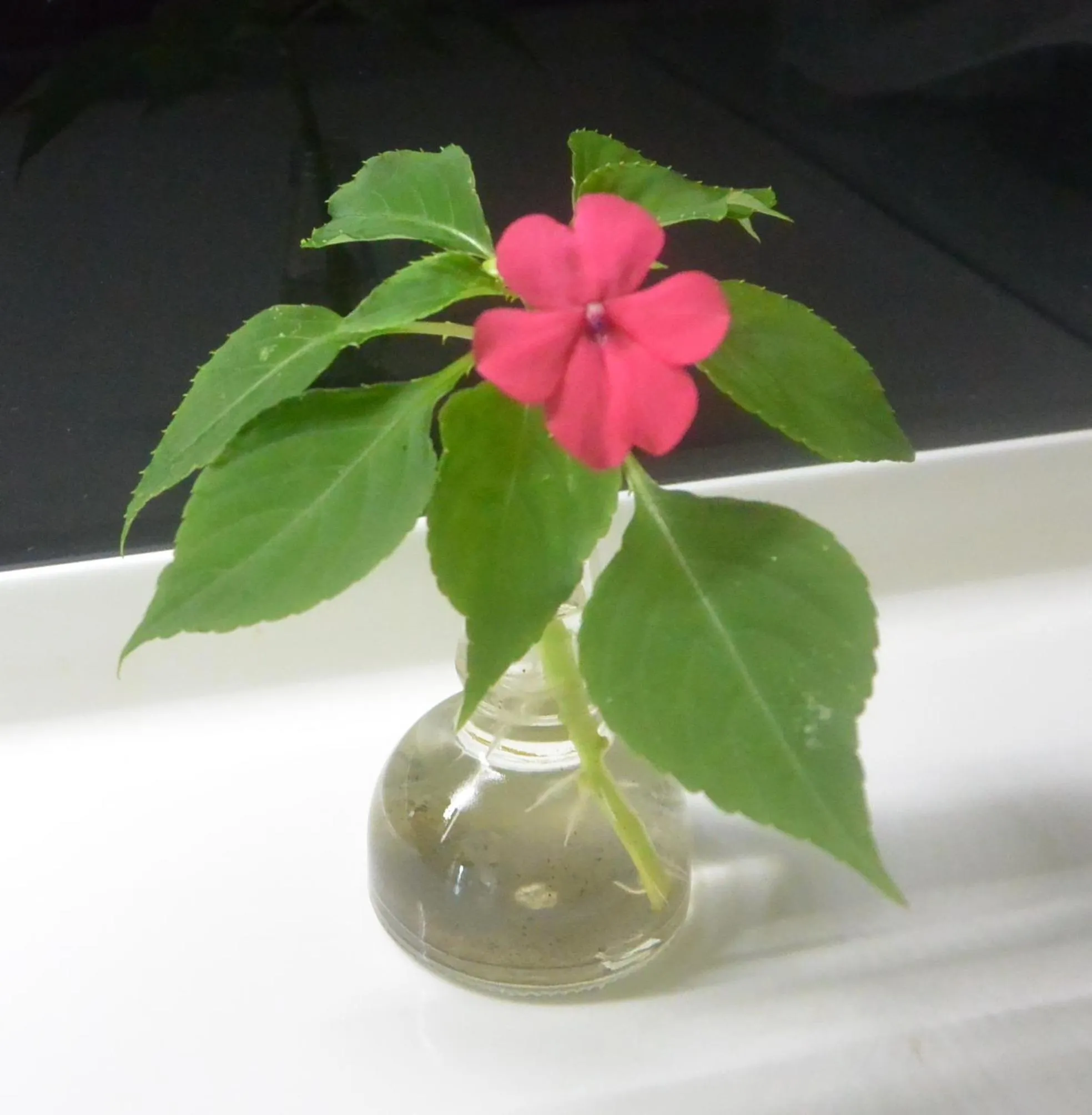 Decorative detail in Jiaoxi Song Tian B&B