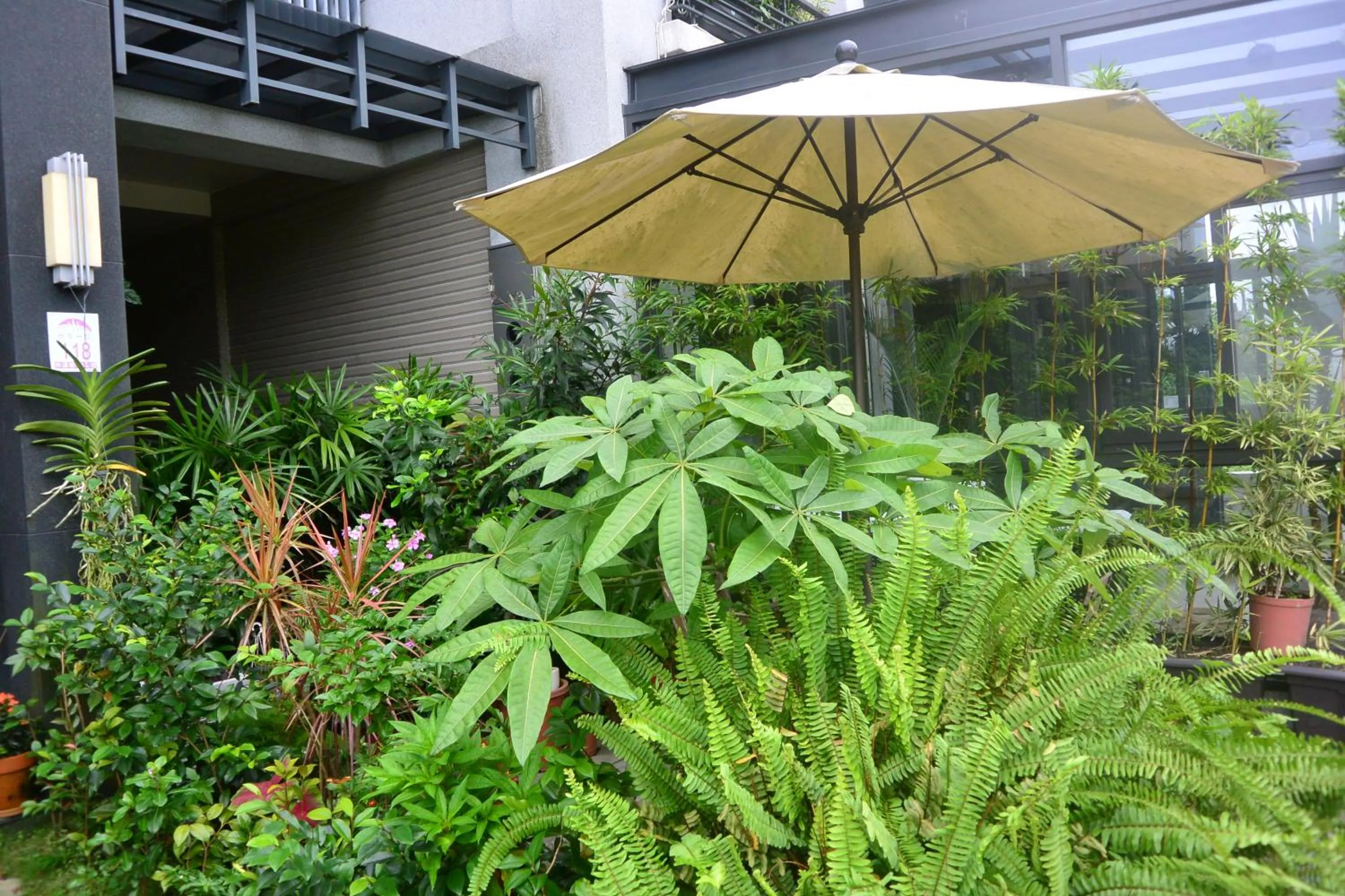 Natural landscape in Jiaoxi Song Tian B&B